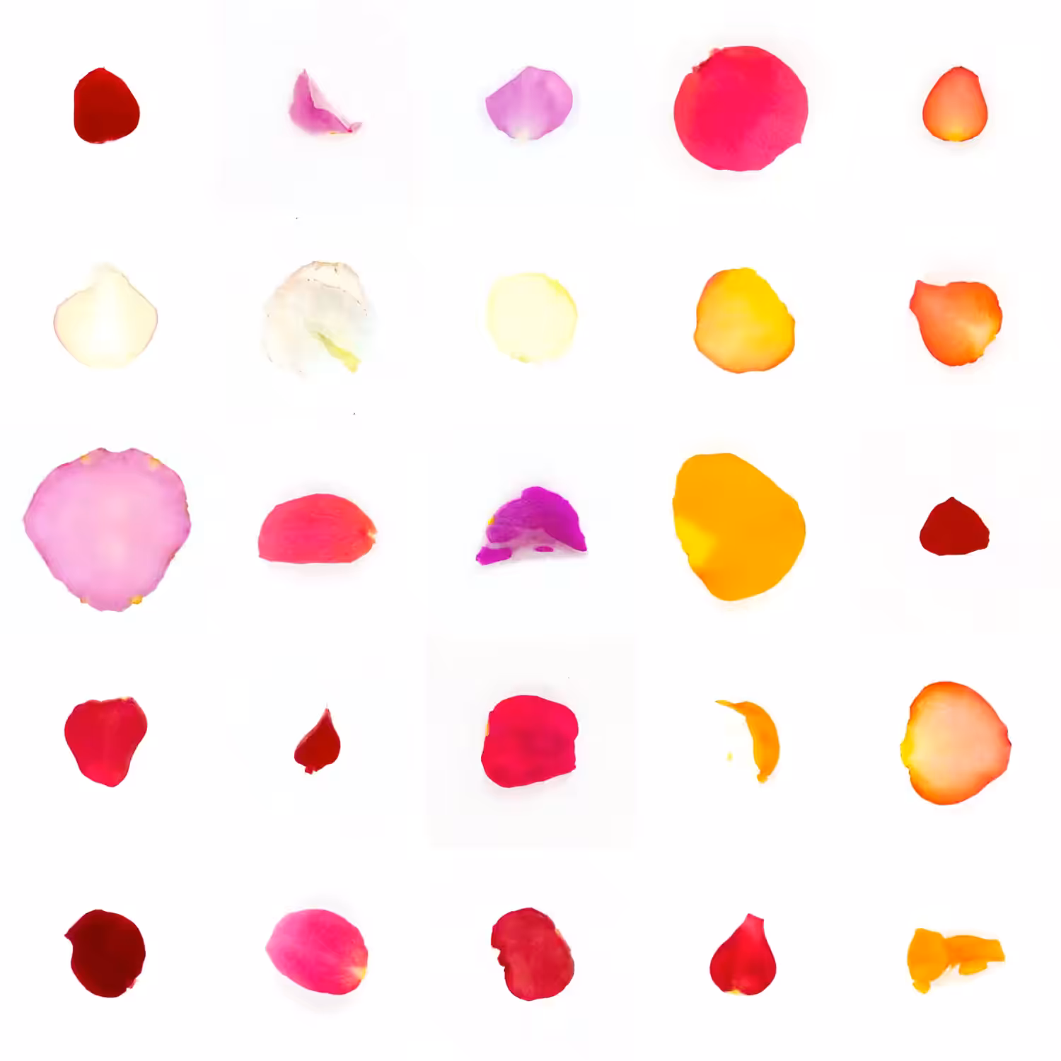Infinite Petals 5x5#148