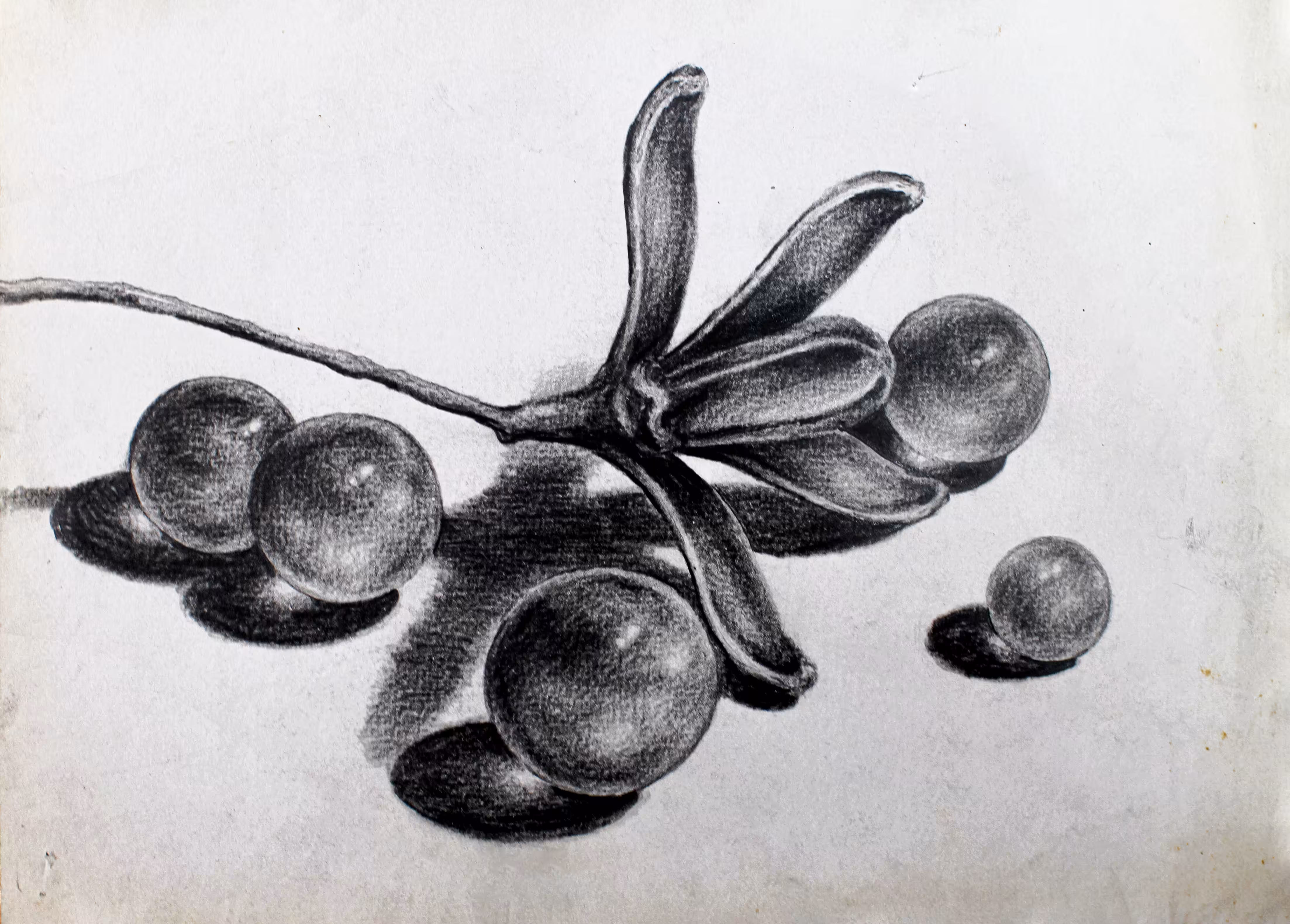 Graphite study N01 • 1997