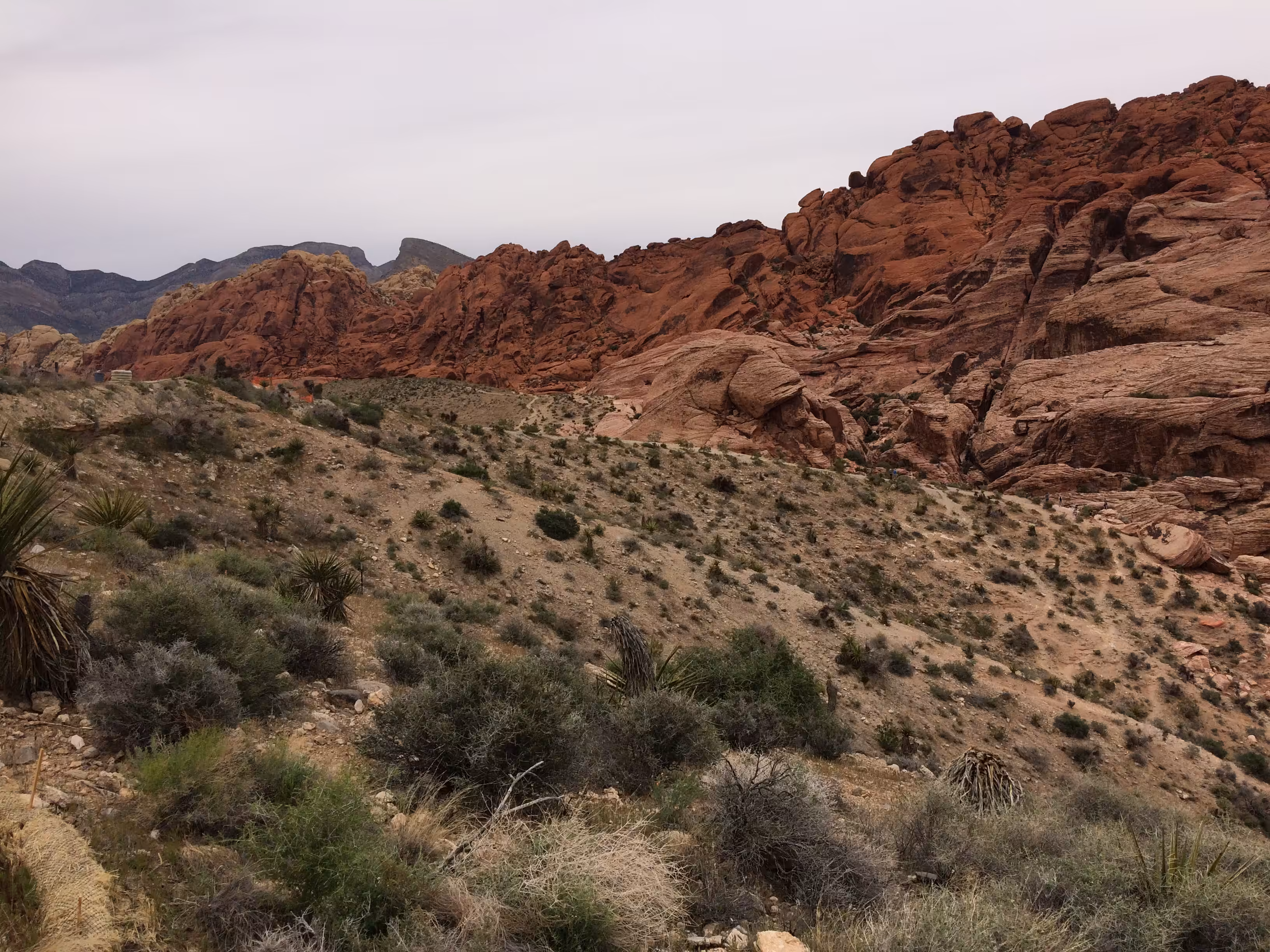 Red Rock Canyon 