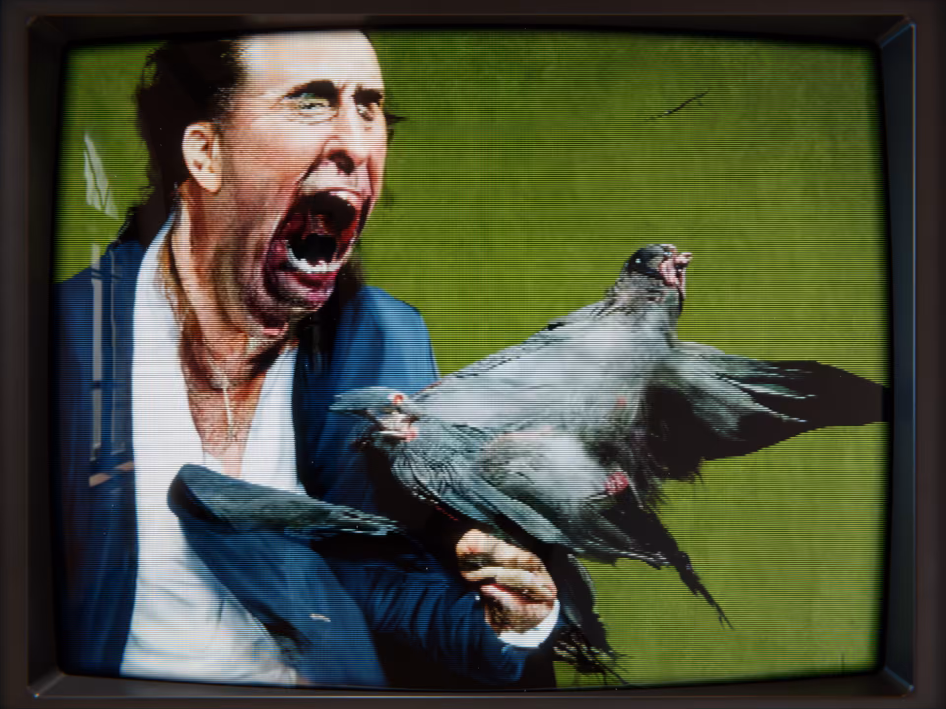 Nicolas Cage Screaming At A Pigeon