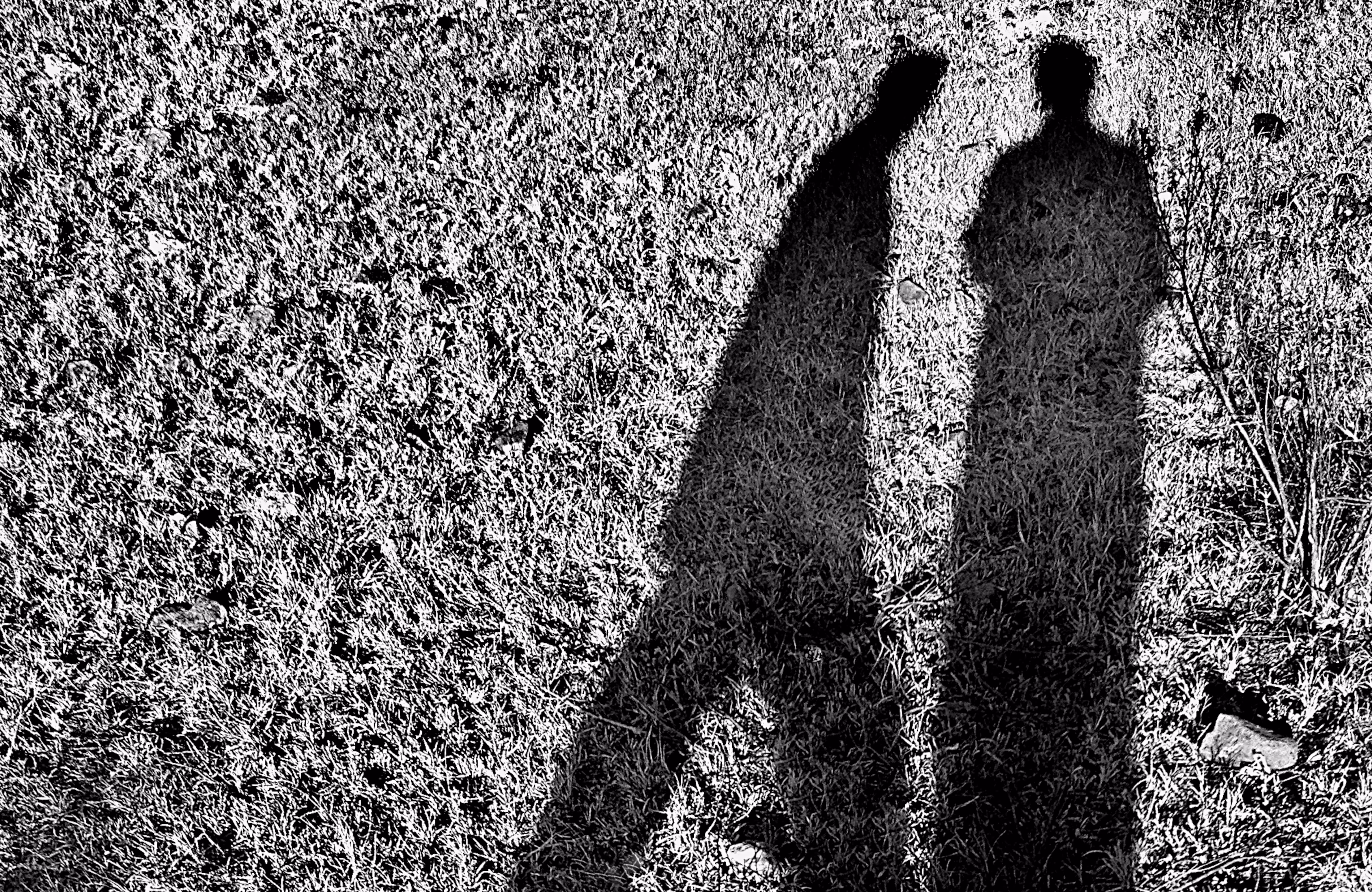 Talking Shadows