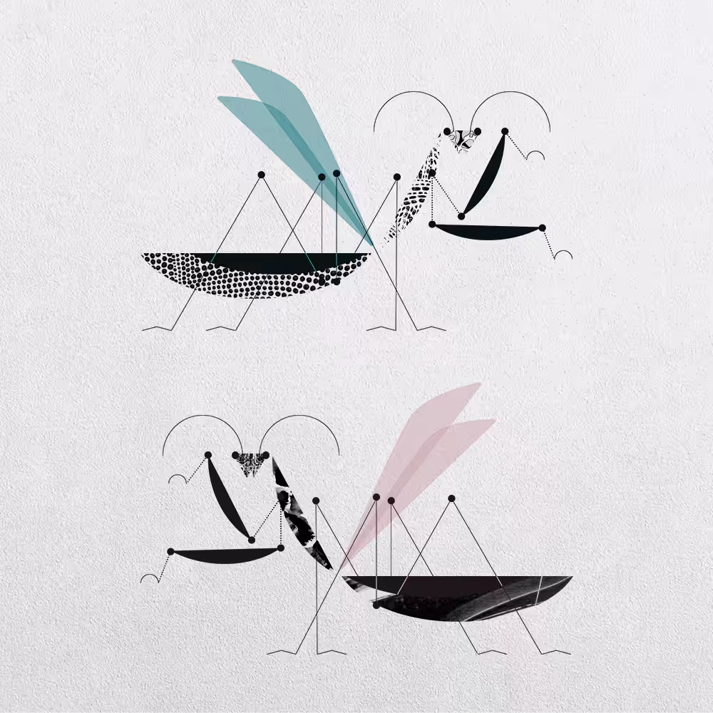 Mantis Abstraction #17