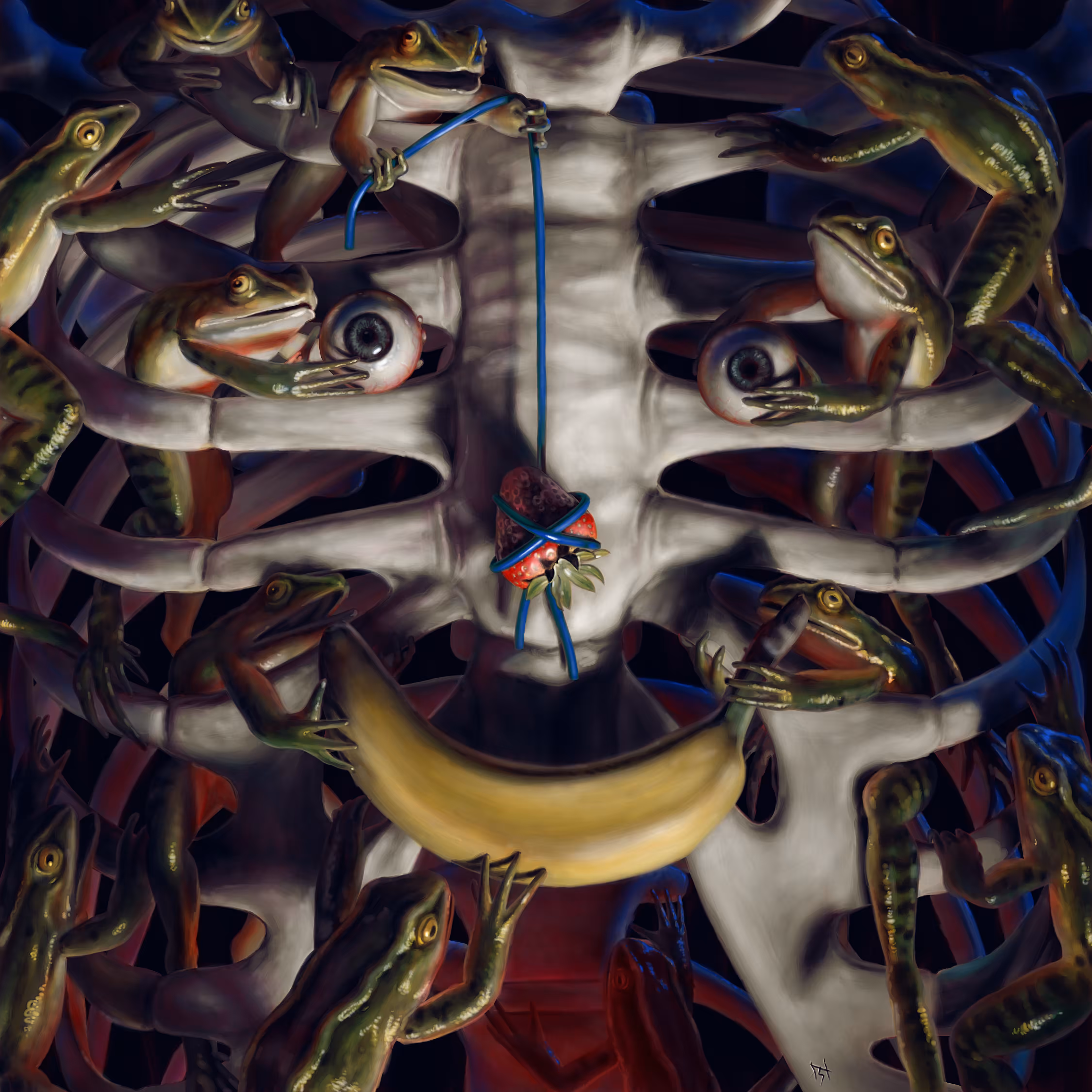 LADDER FACE