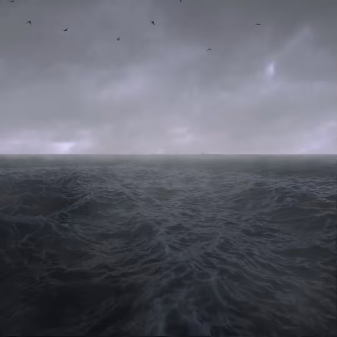 Immersion