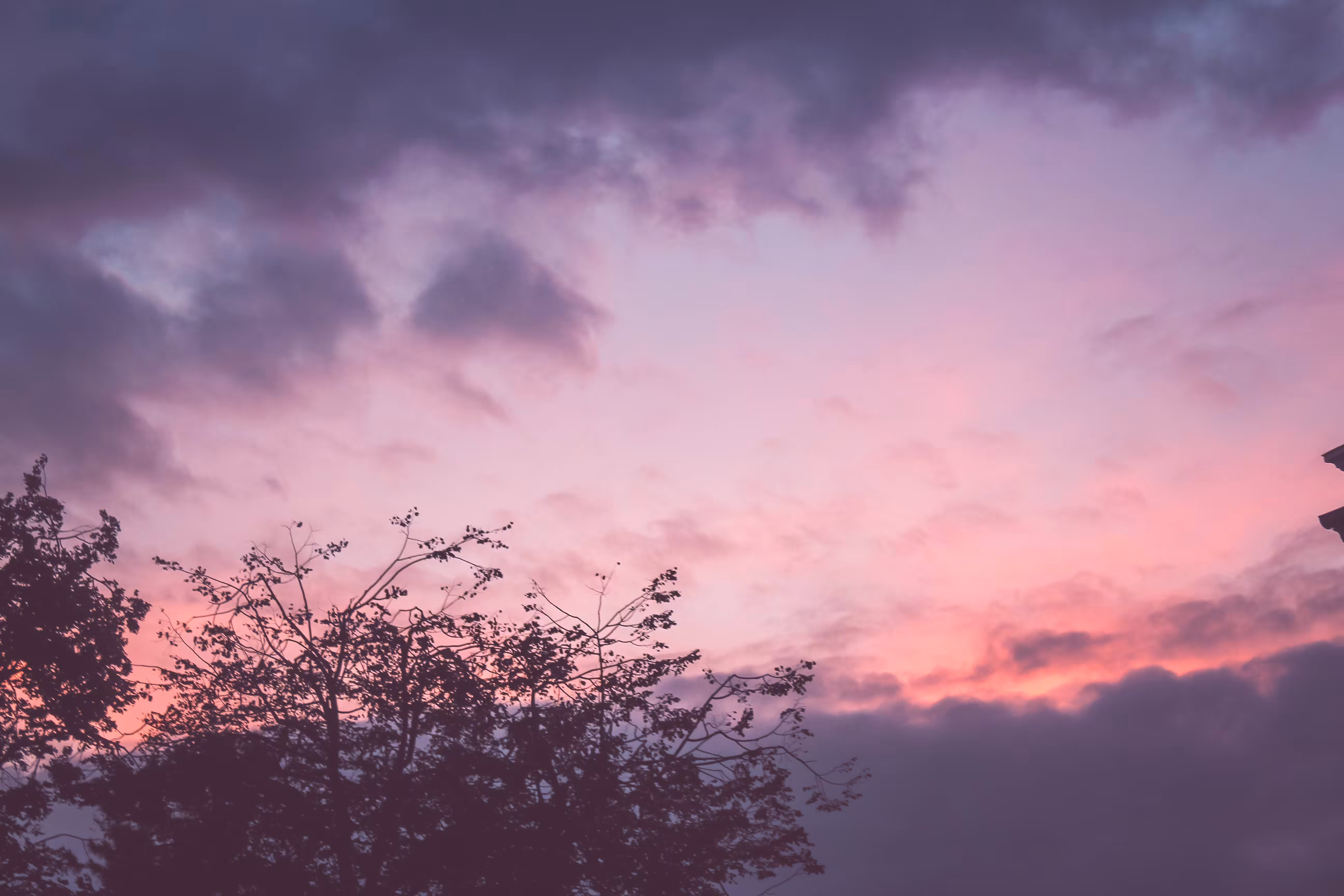 Purple Sky 紫の空