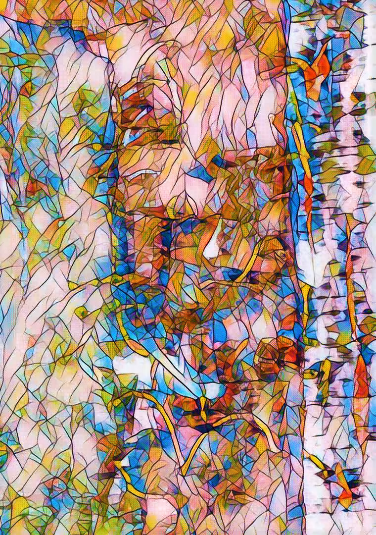 The Network in my Brain