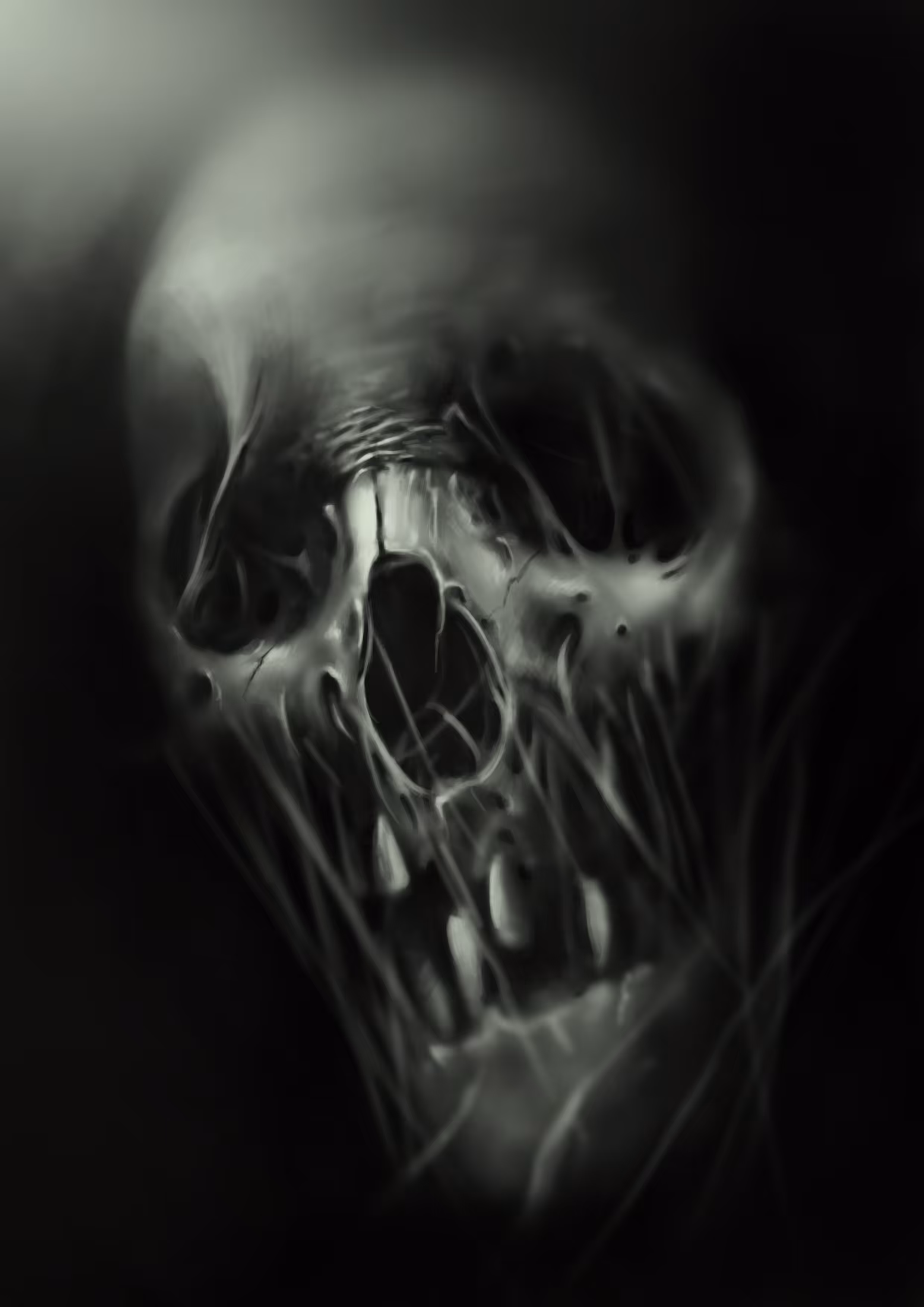 THE SKULL