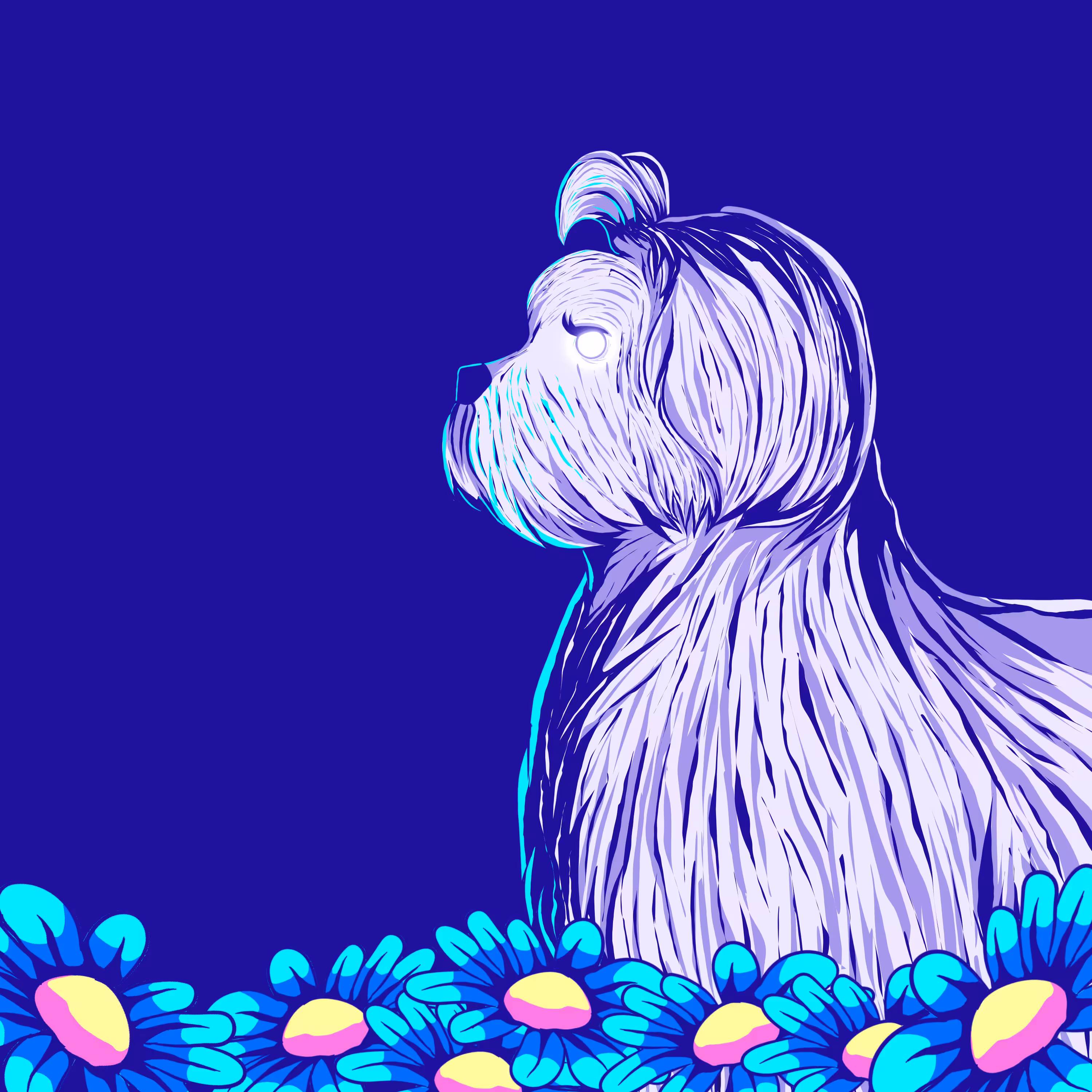 #27 Molly the Maltese