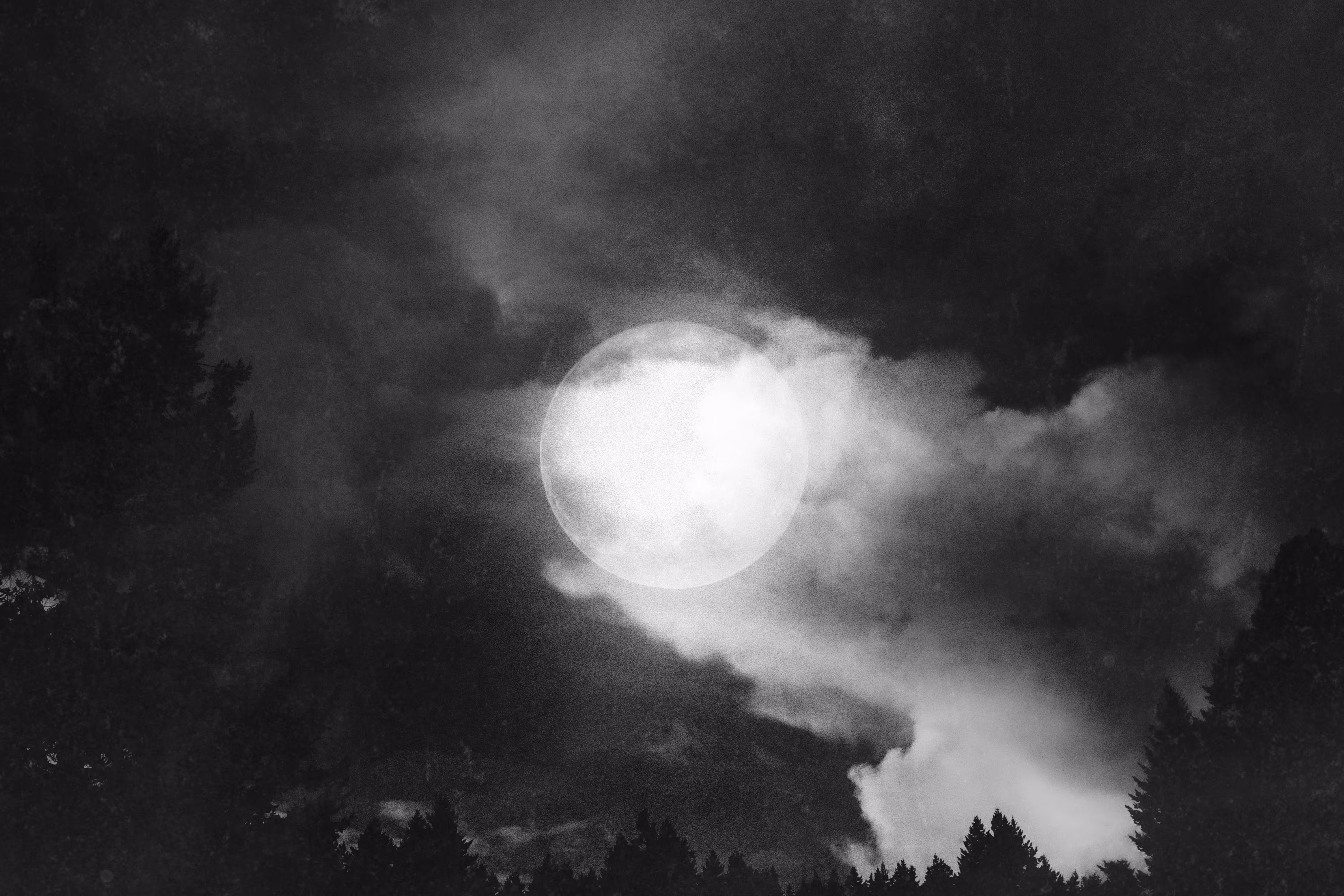 Midnight Majesty
