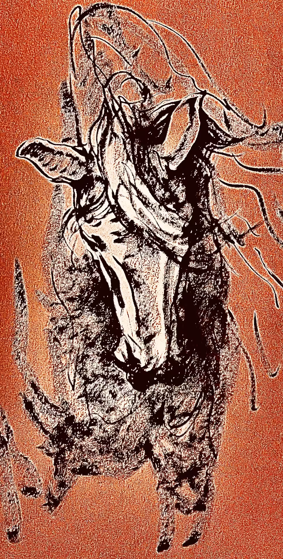 Orange Series