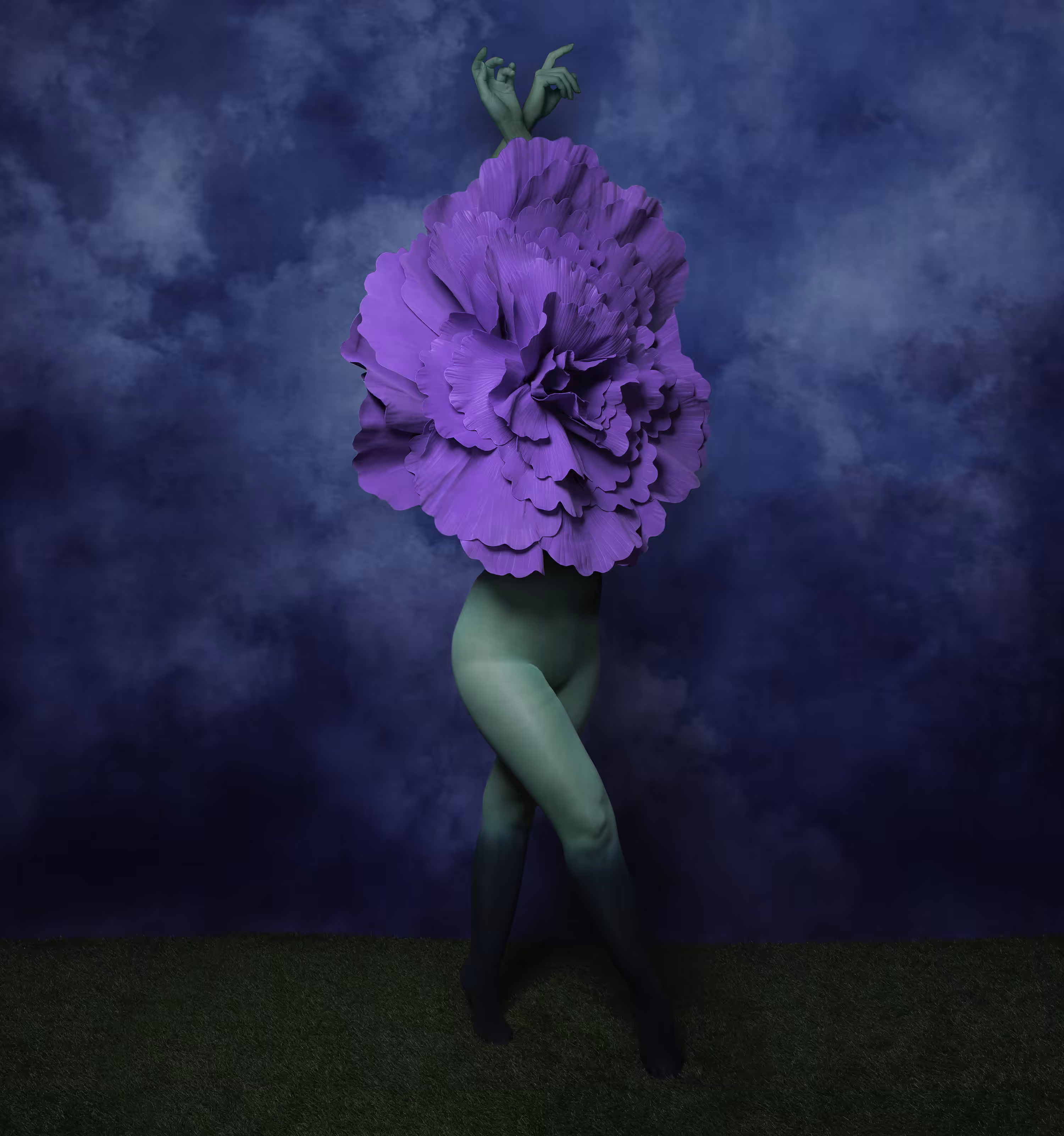 Bloom