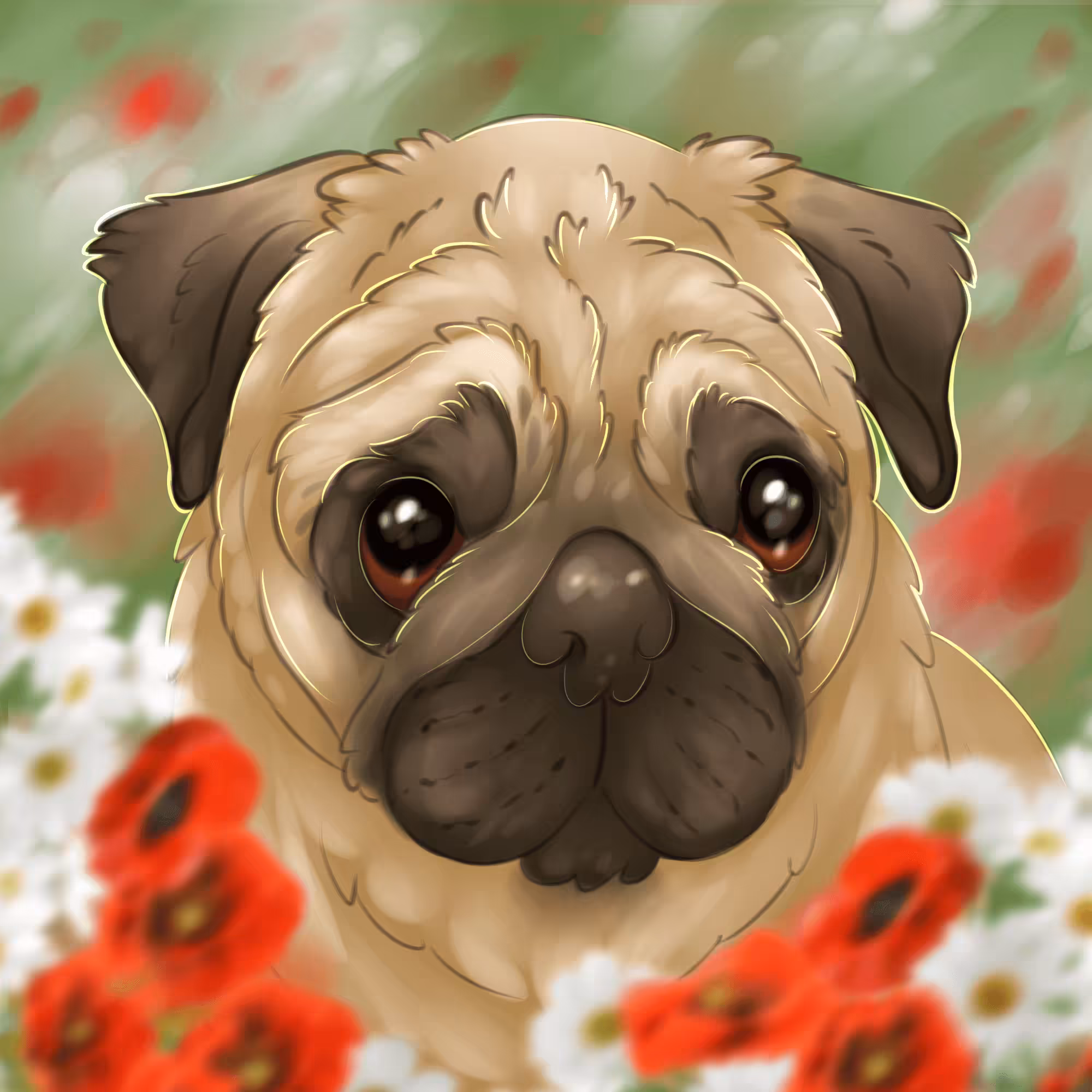 Pug