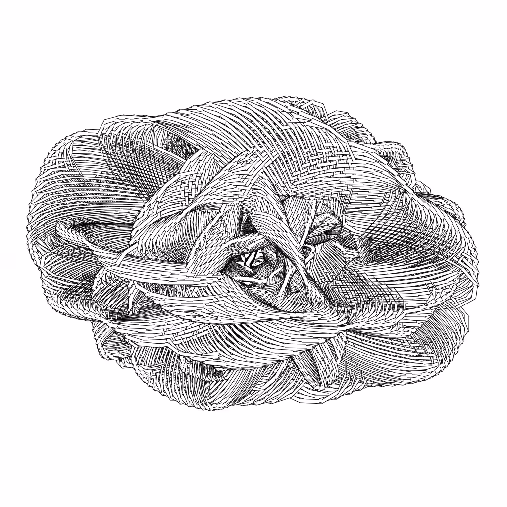 LL21 Entangled (3) #330