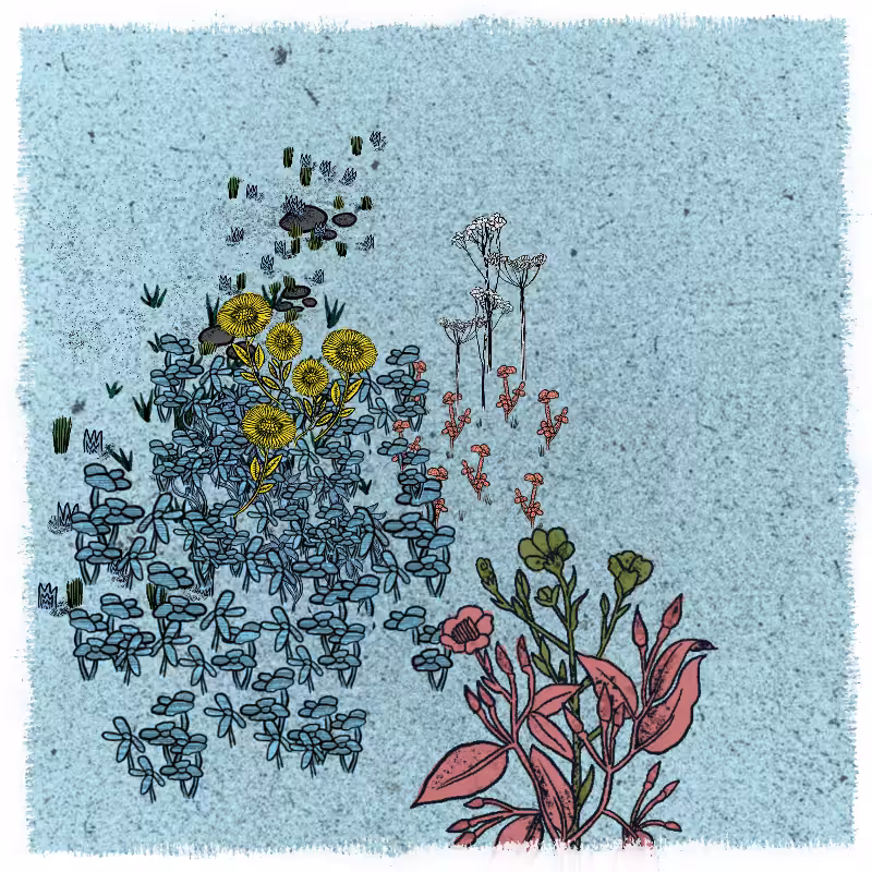 Gardens  #35