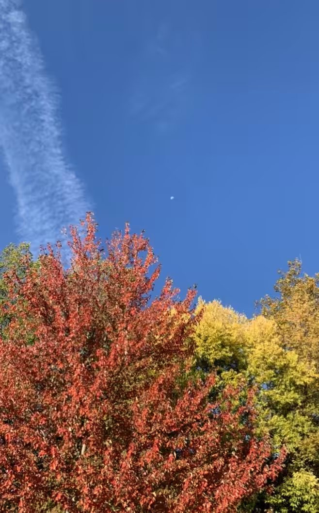 Fall Launching 