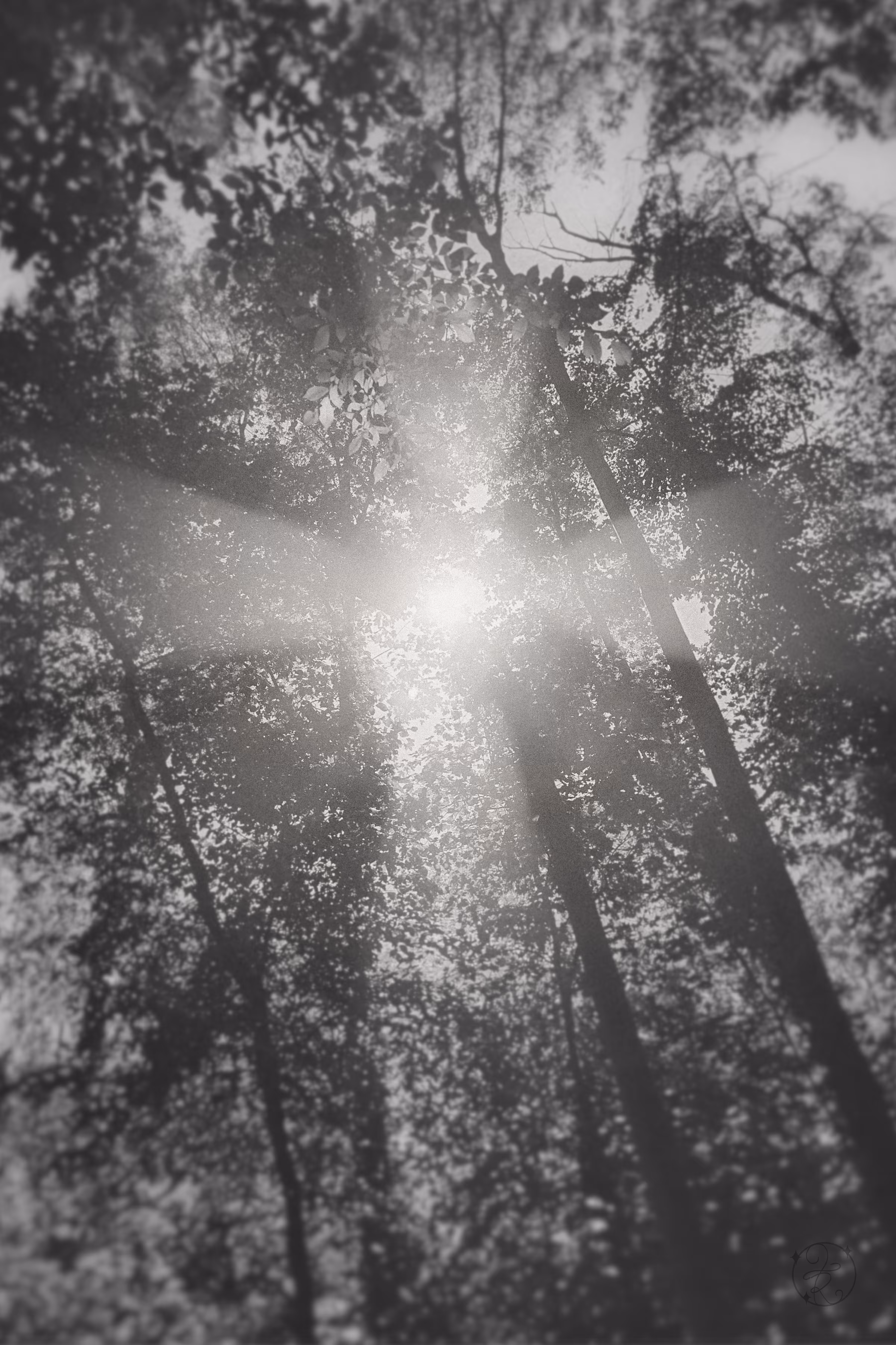Refractio