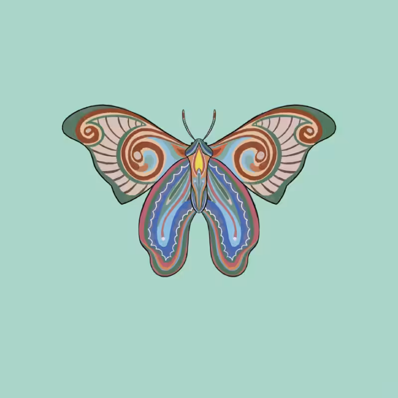 The Moth Experiment 2.0 P1 #24