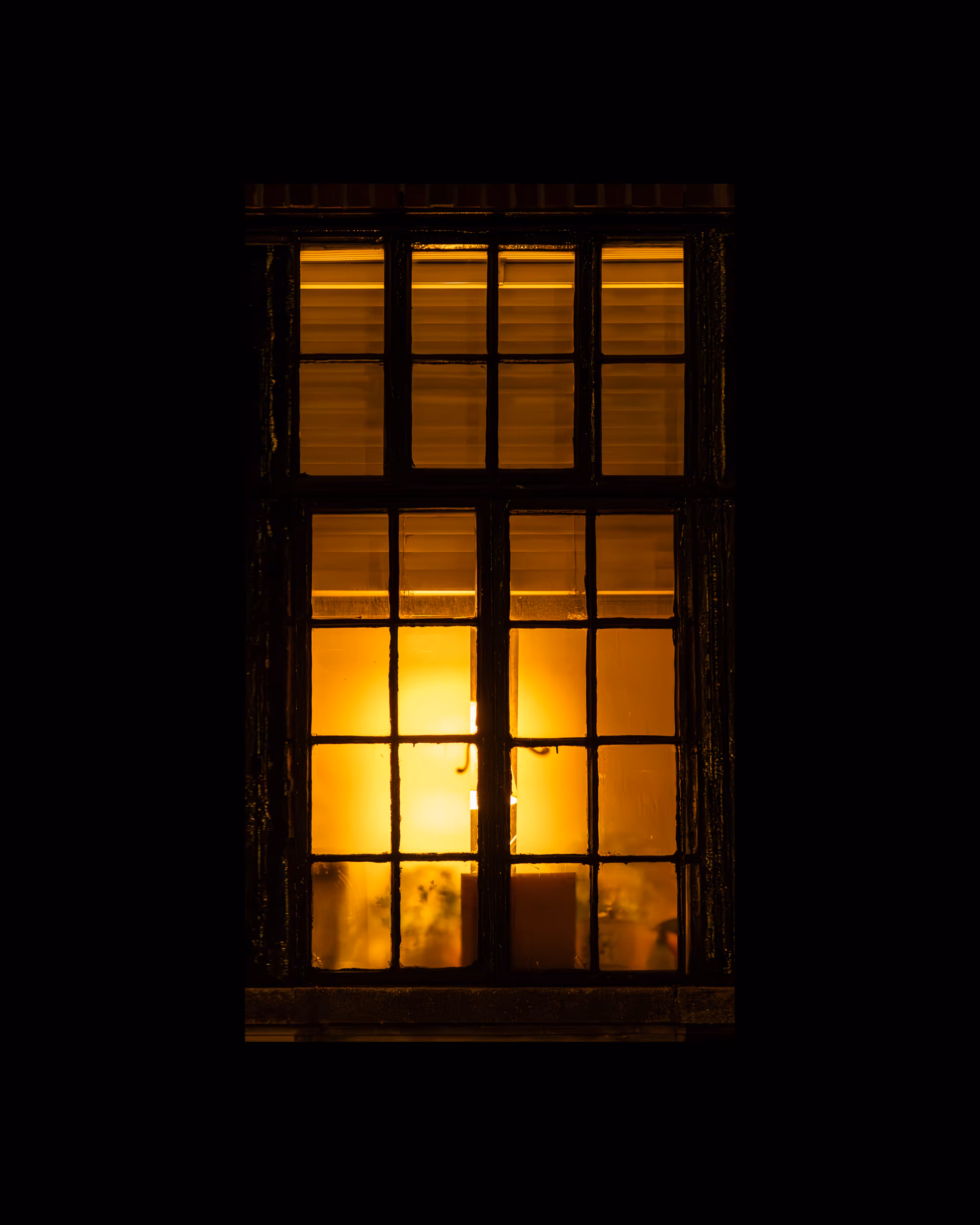 WINDOWS // NYC: WINDOW 786