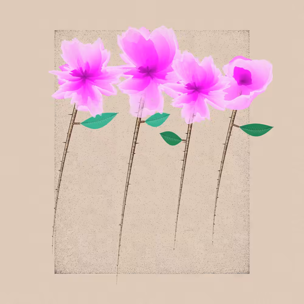 Magnolia #8