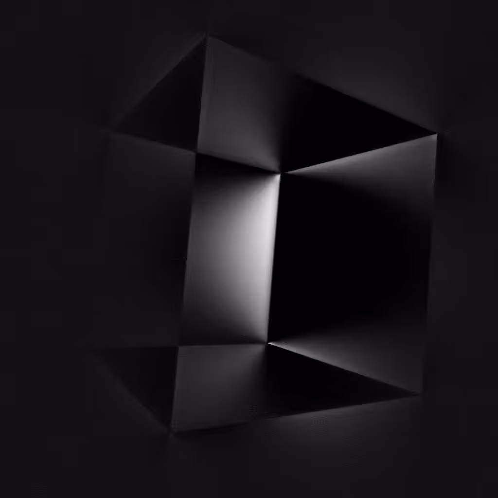 SHADOW PLAY 2