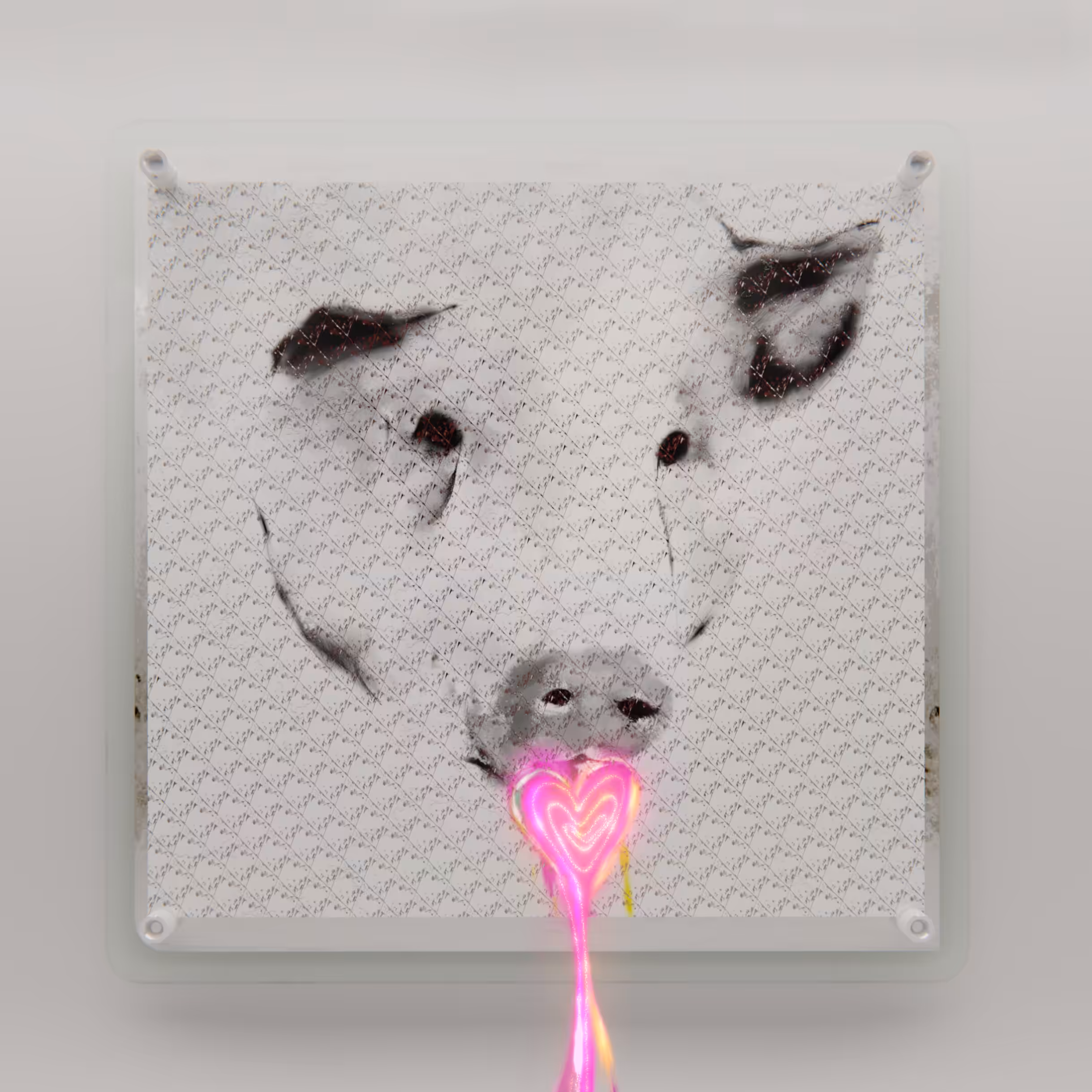 LOVE X PIG