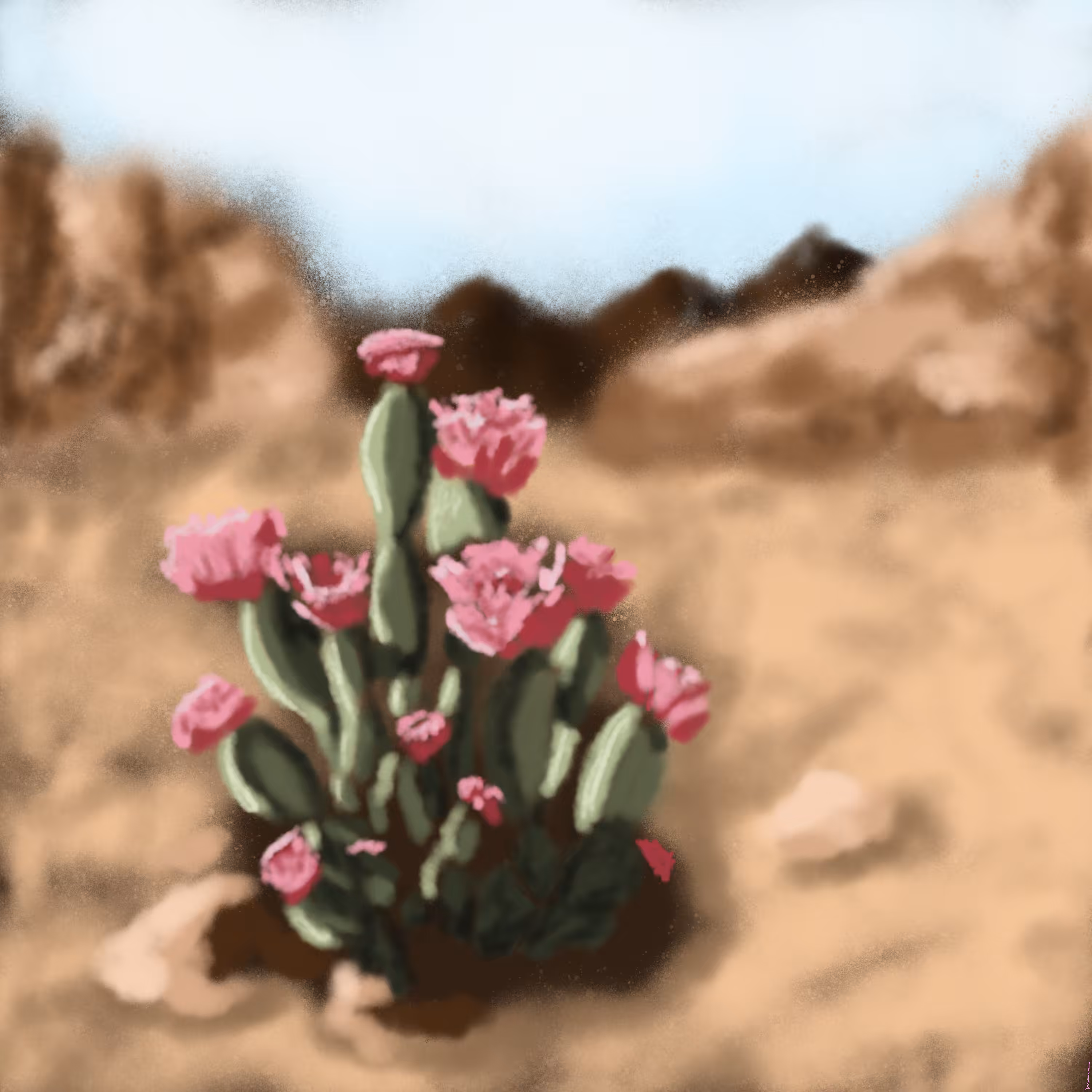 Solitude