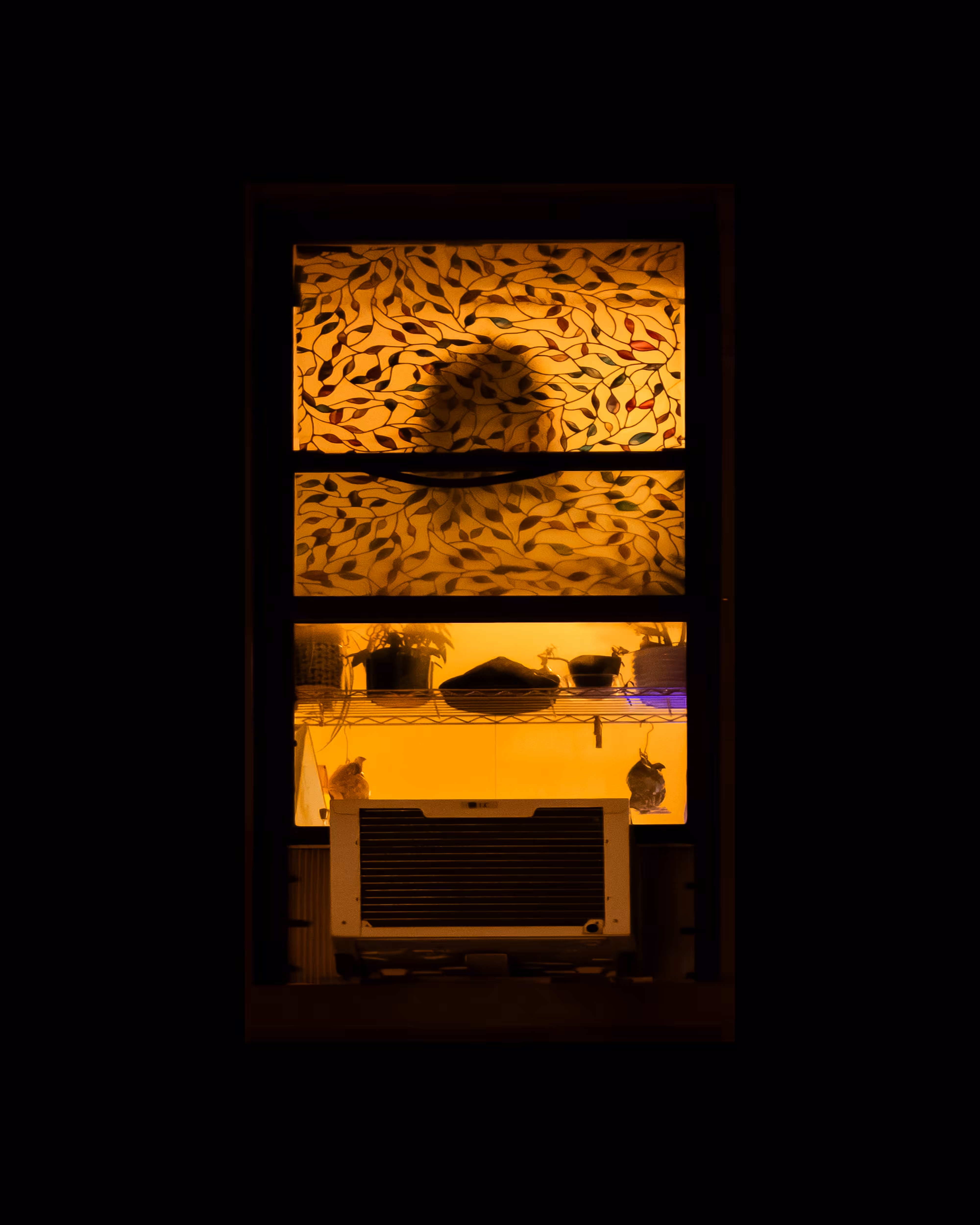 WINDOW 614