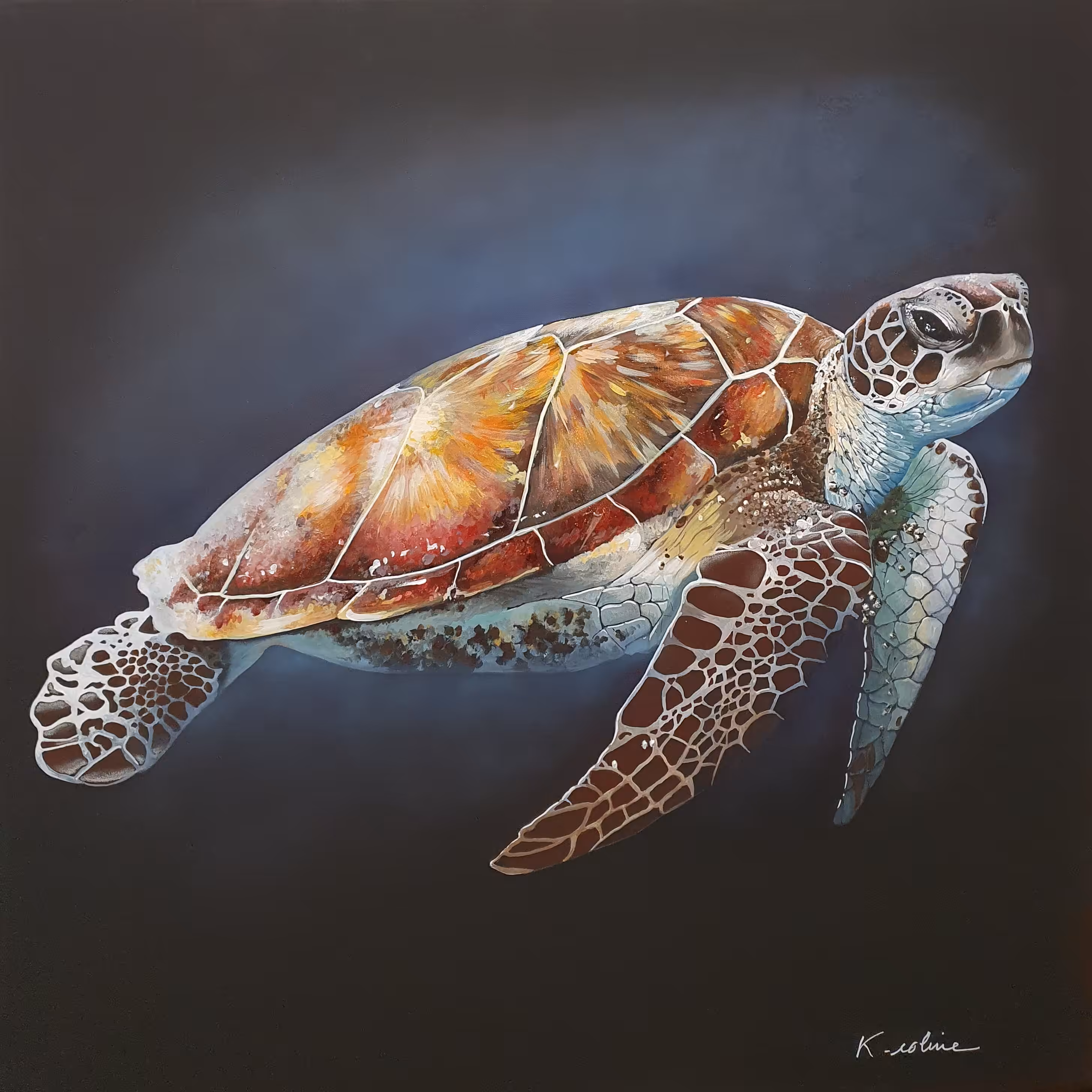 Turtle I jump in the water