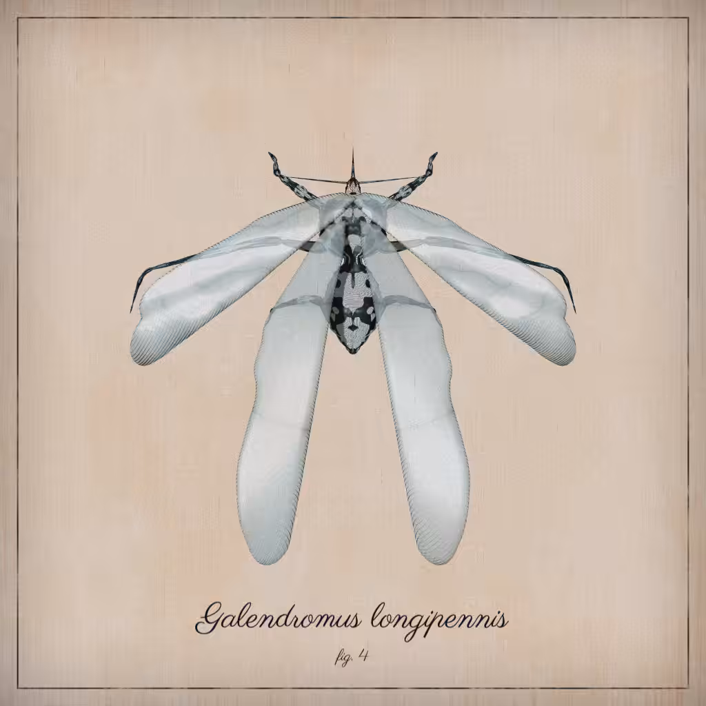 ProcGen Entomology #174