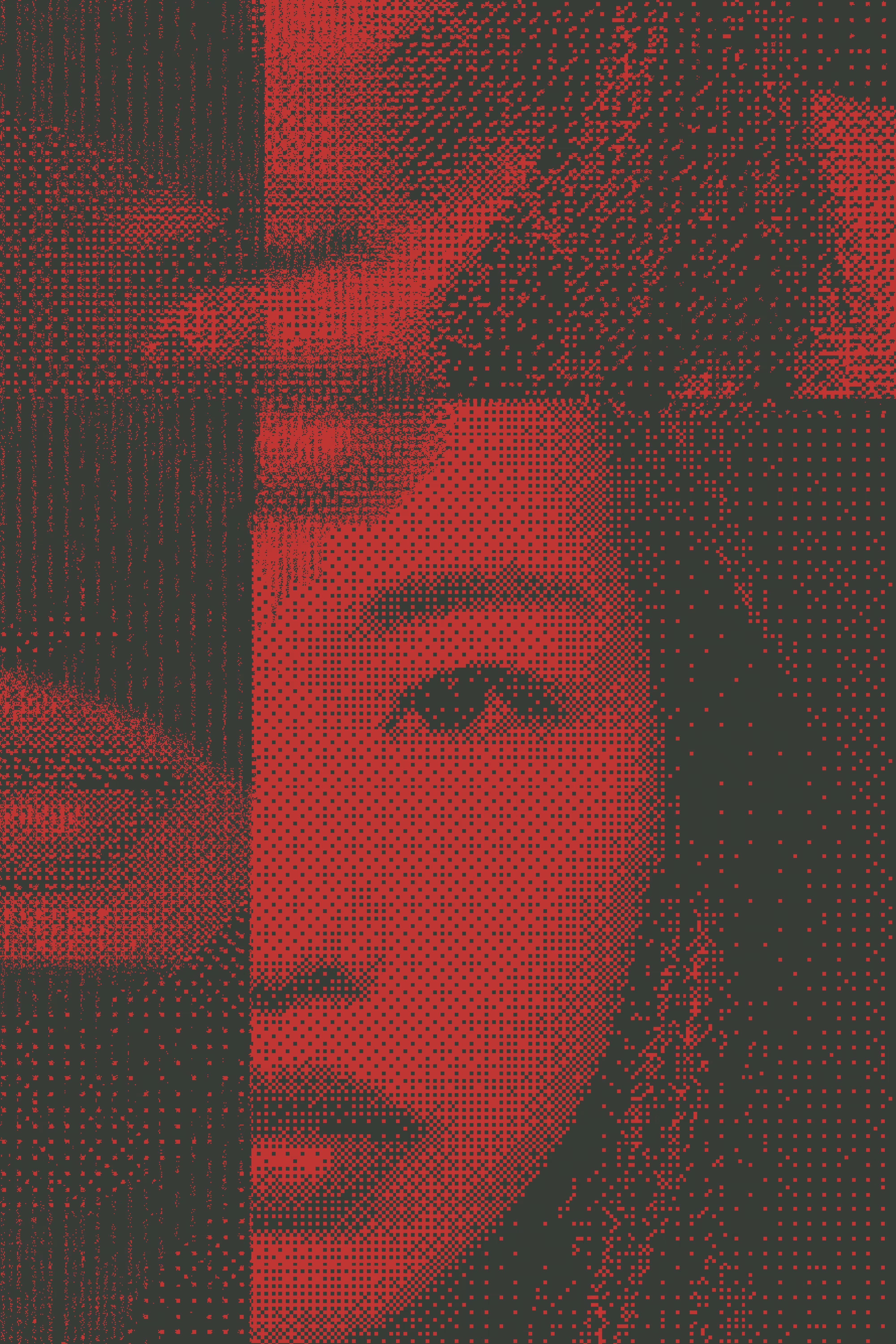 Forgetting Is The Memory of The Format  