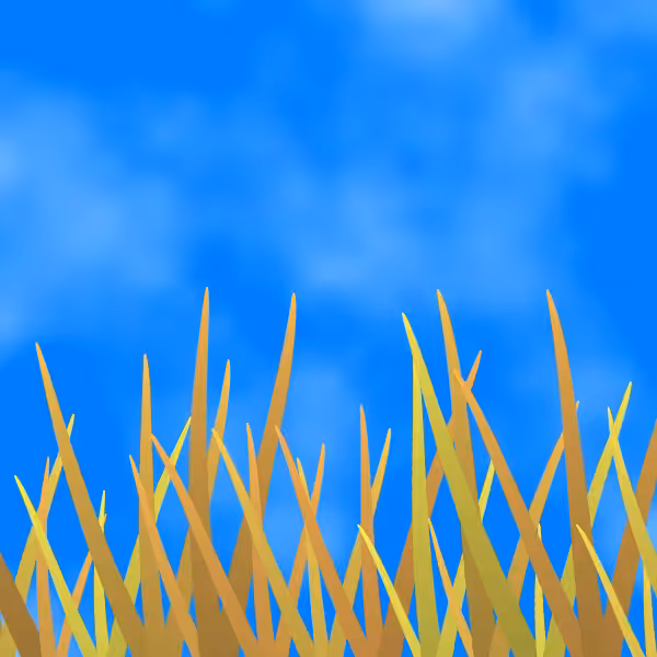 Fields of Ukraine #9