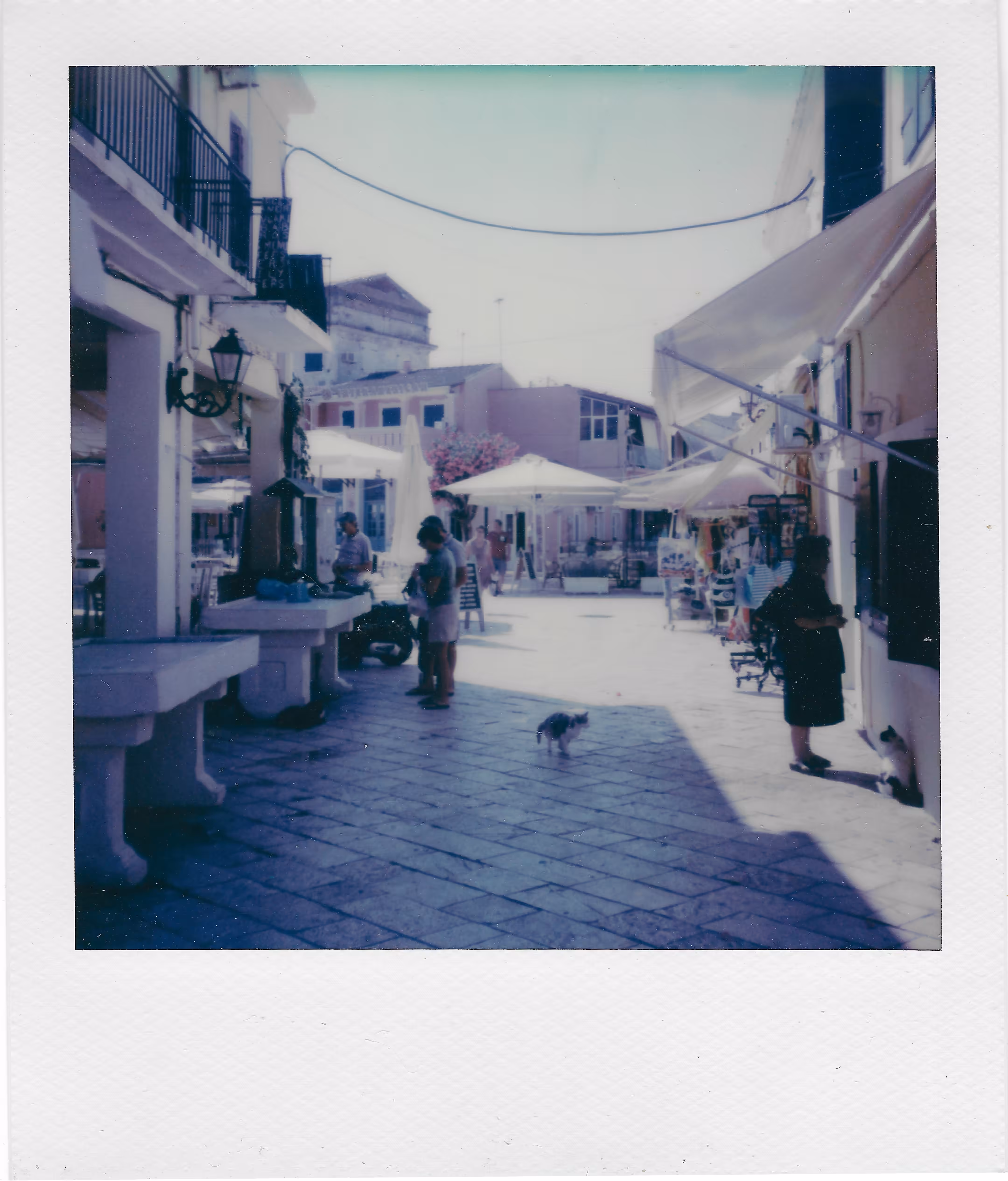 Fish Market