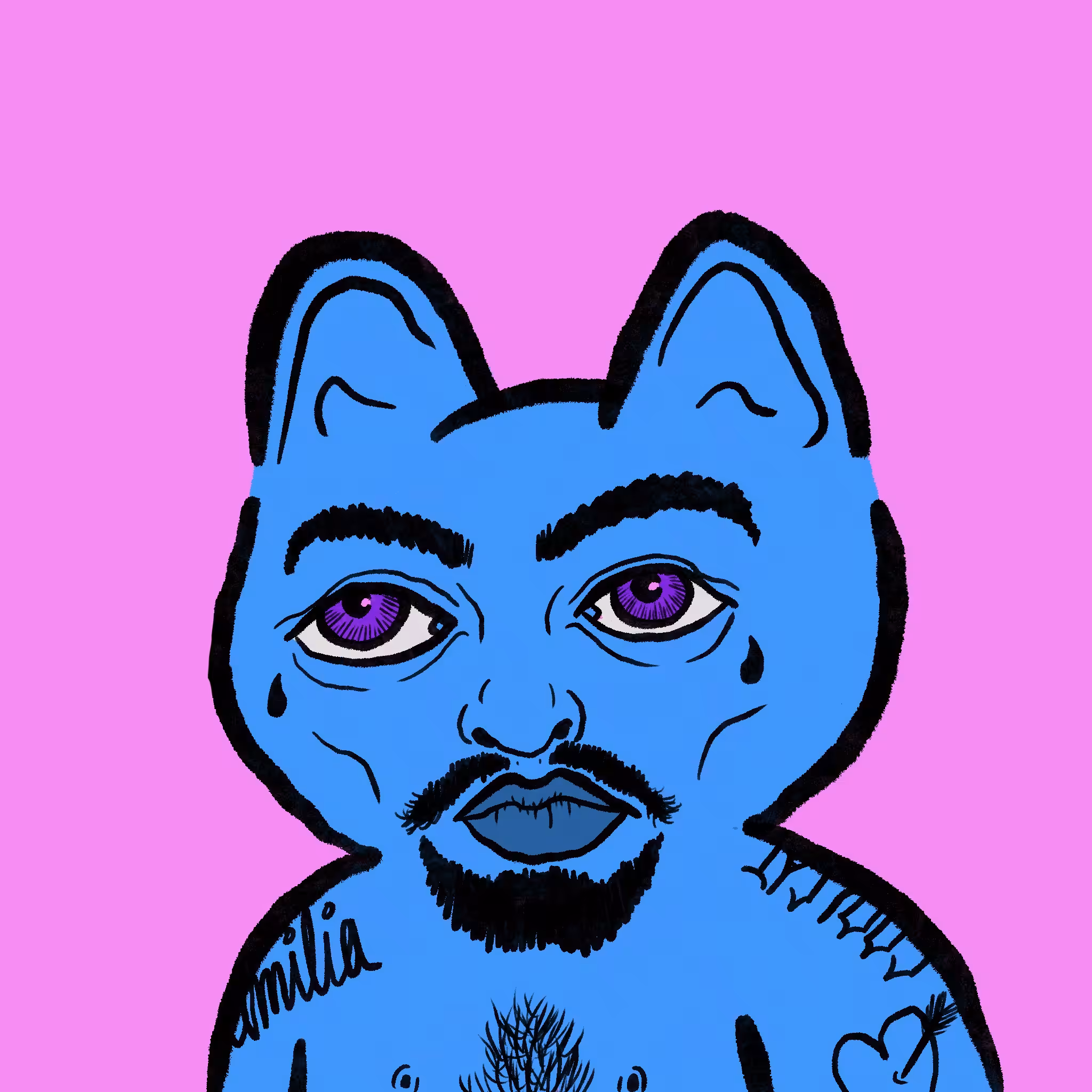 Not CoolCat 