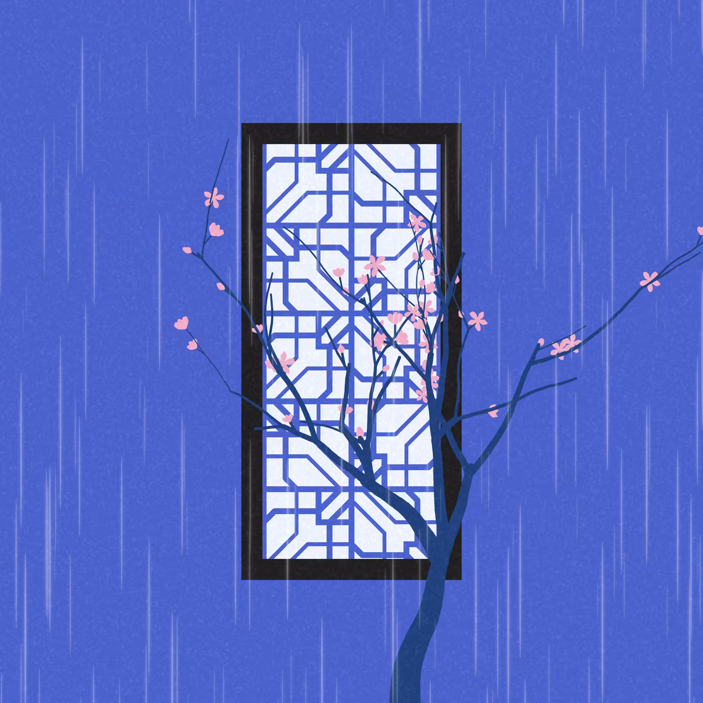 Through the Window #128