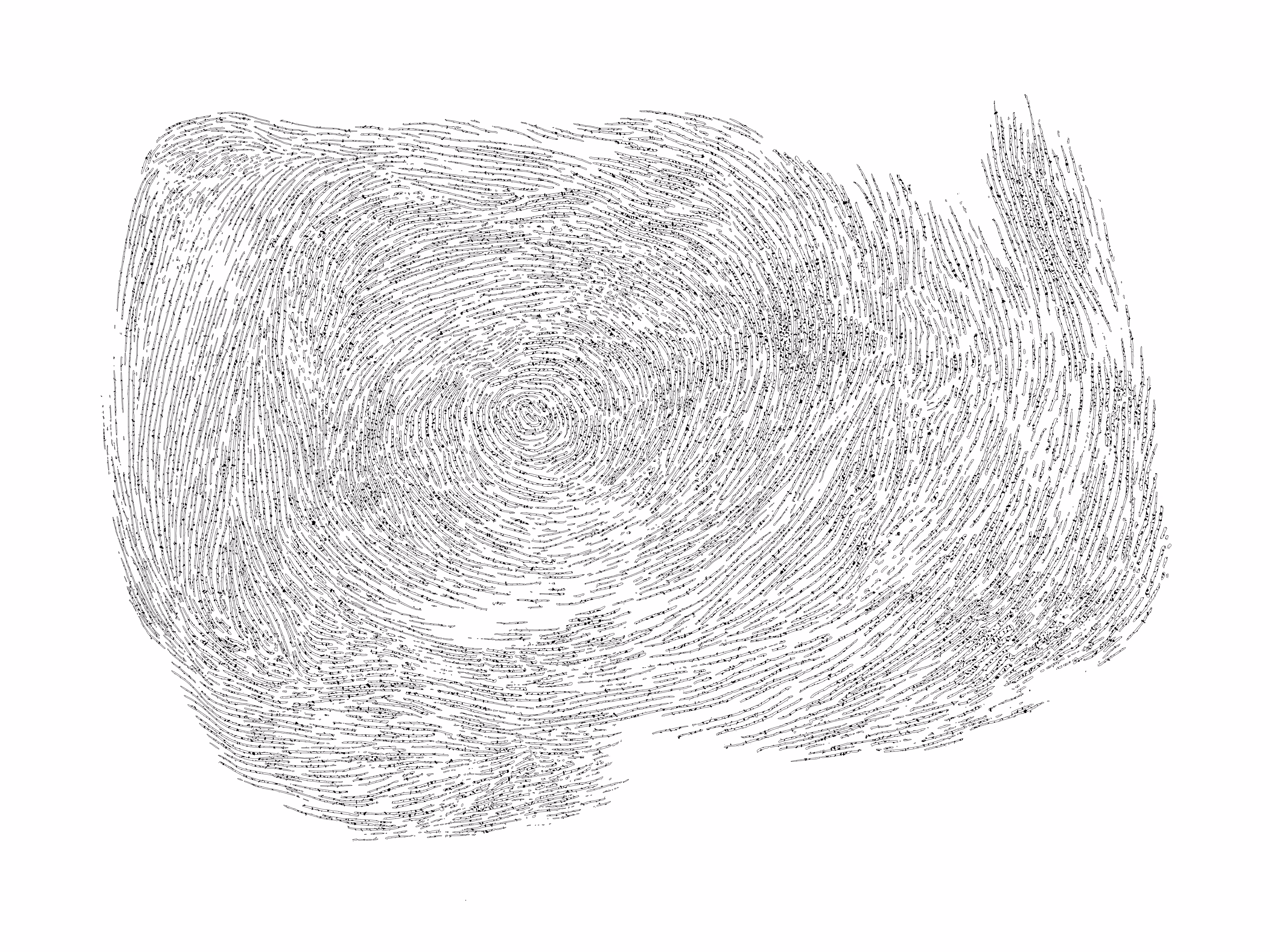 Whirl #1