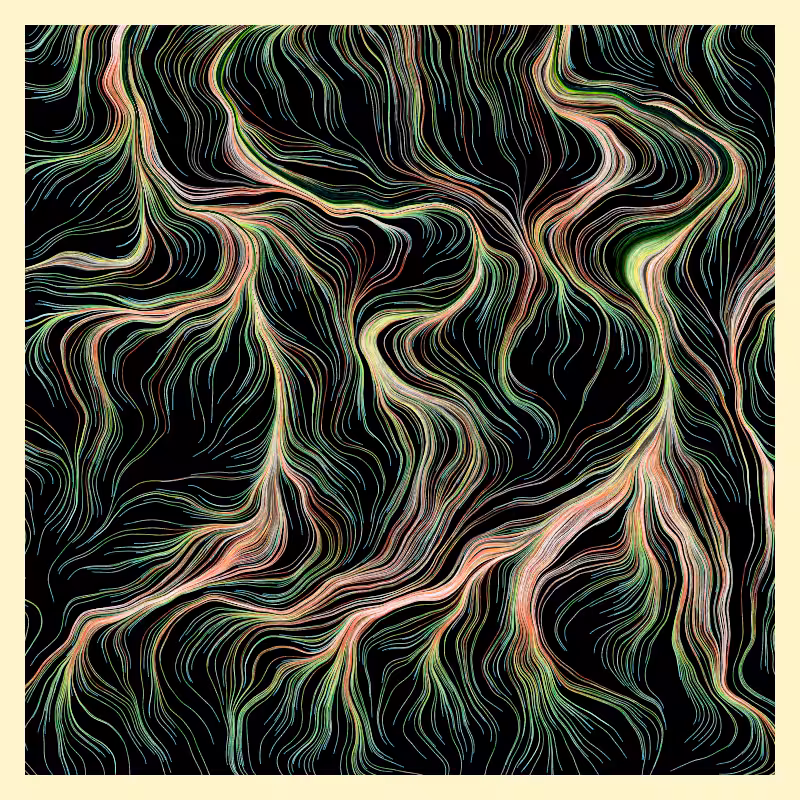 Roots #1