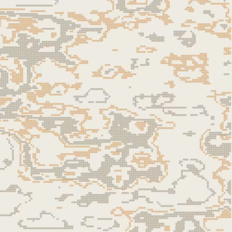 Petri 1500 #952