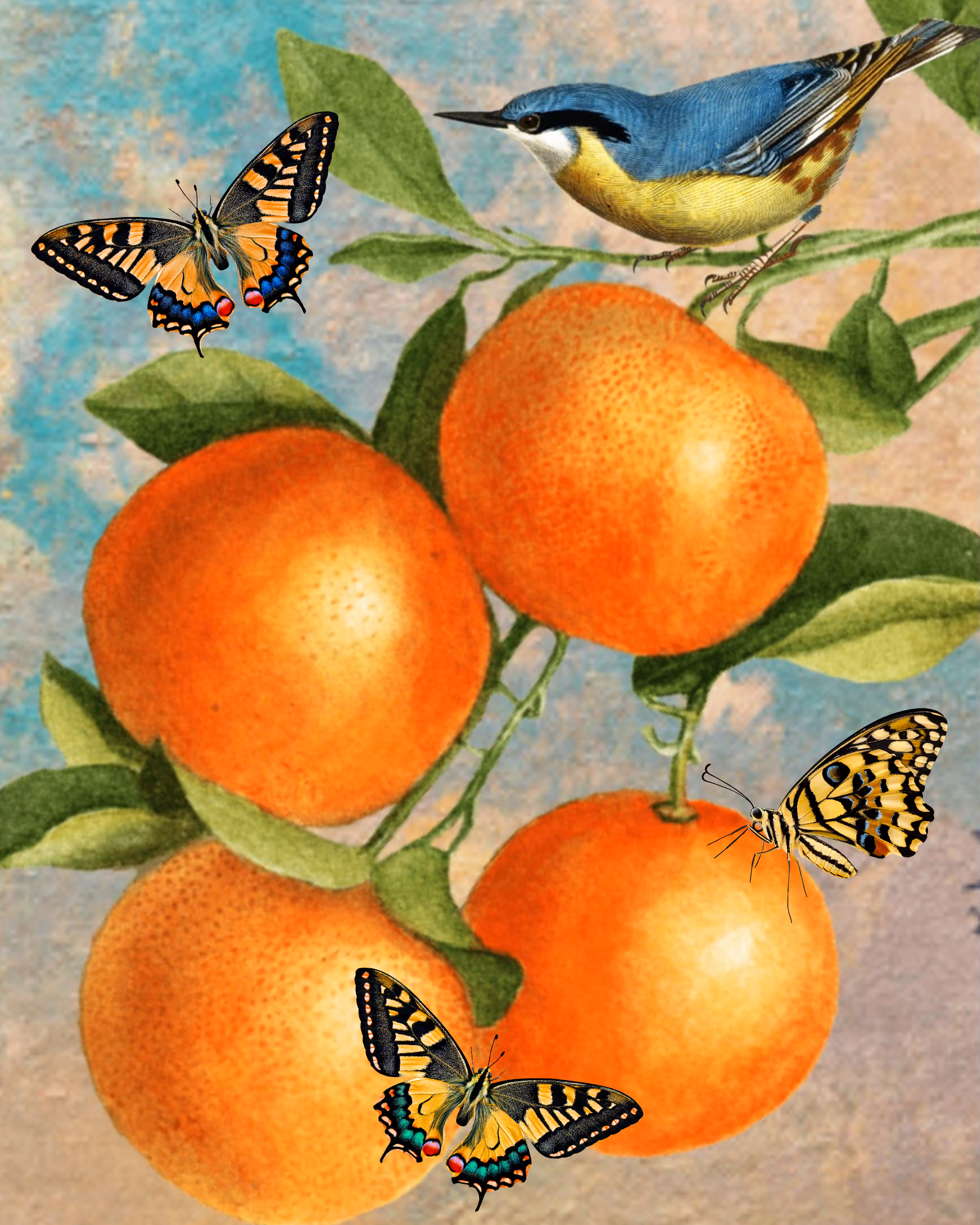Citrus Flight