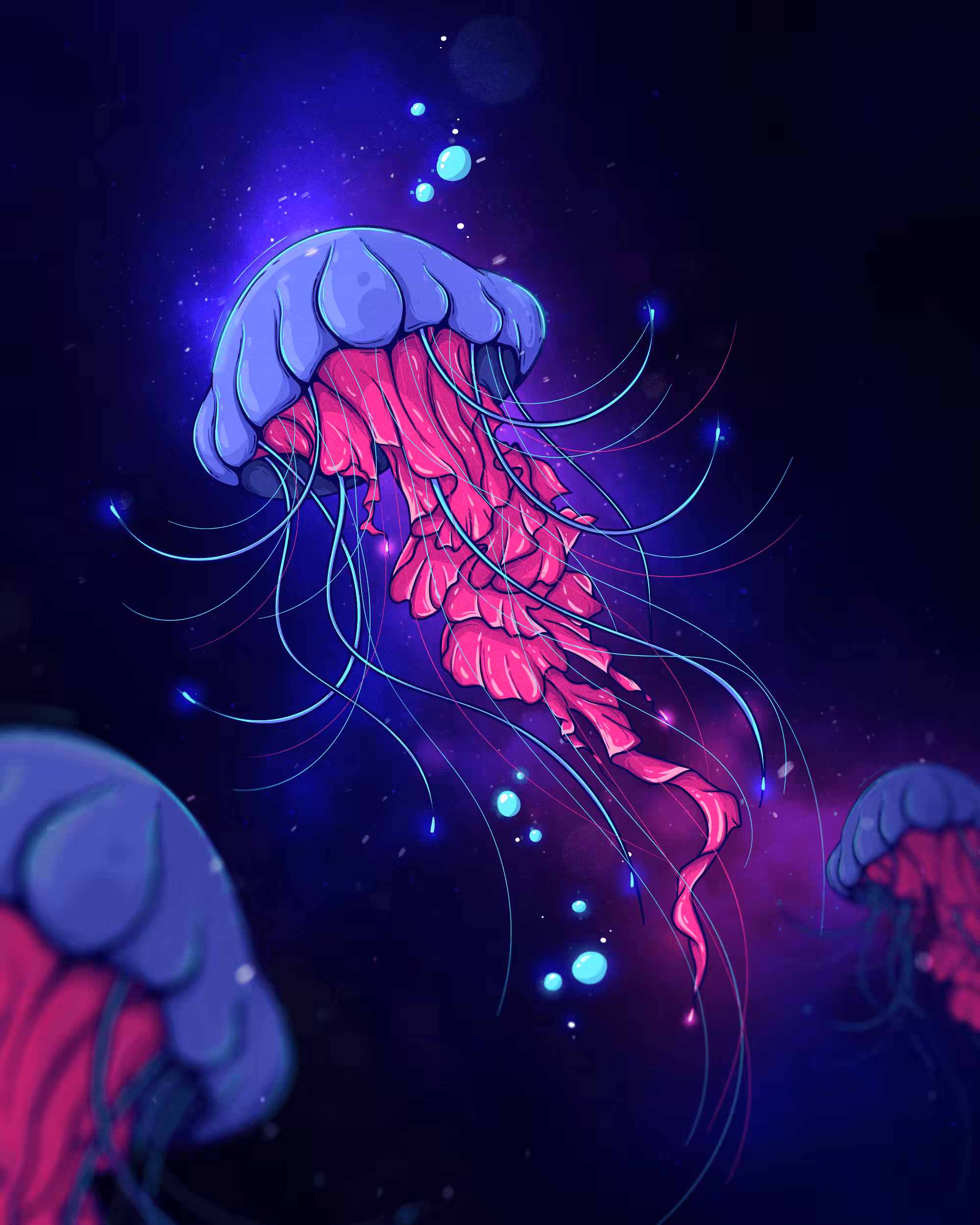Jellyfish Night 