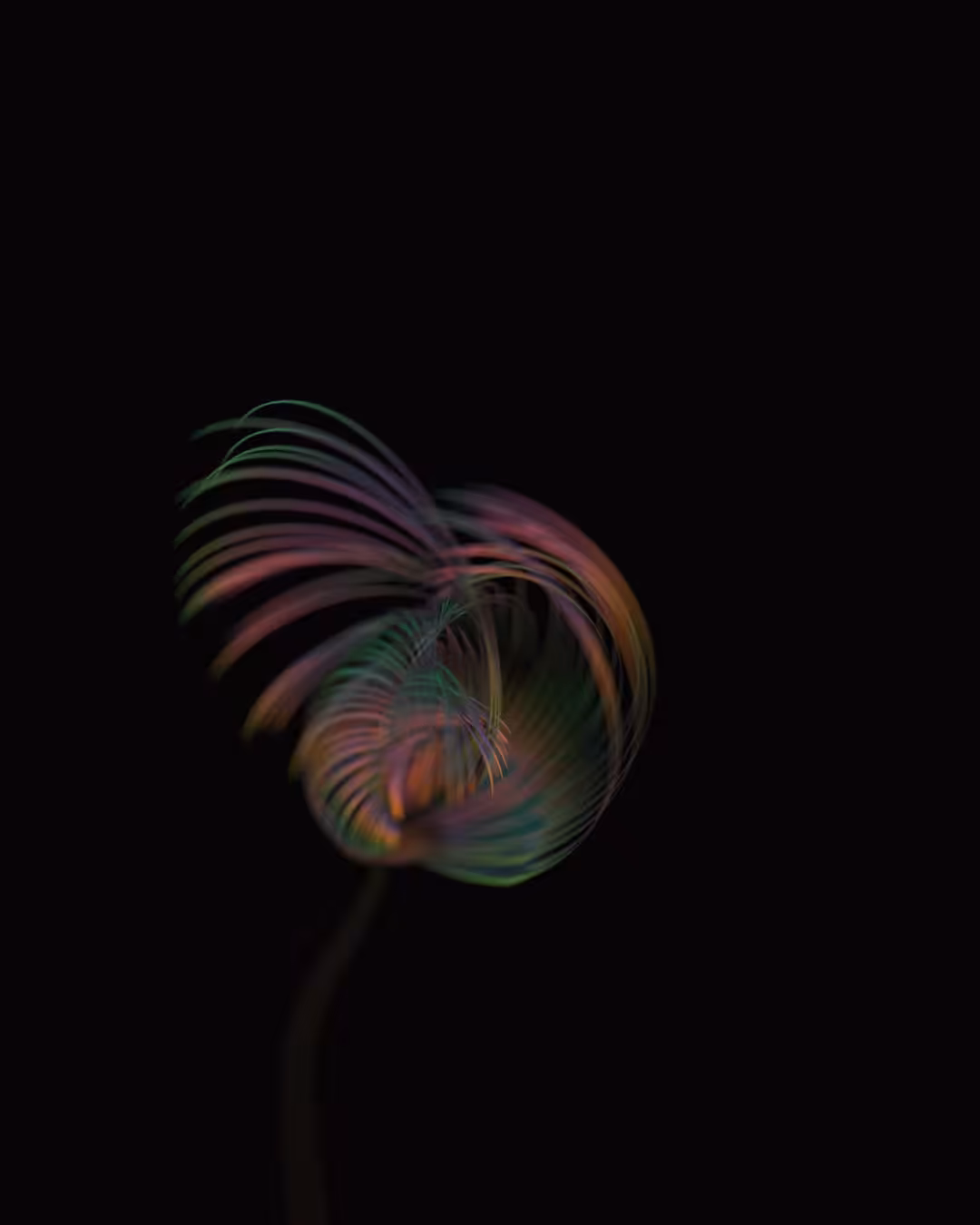 Sunrise Bloom