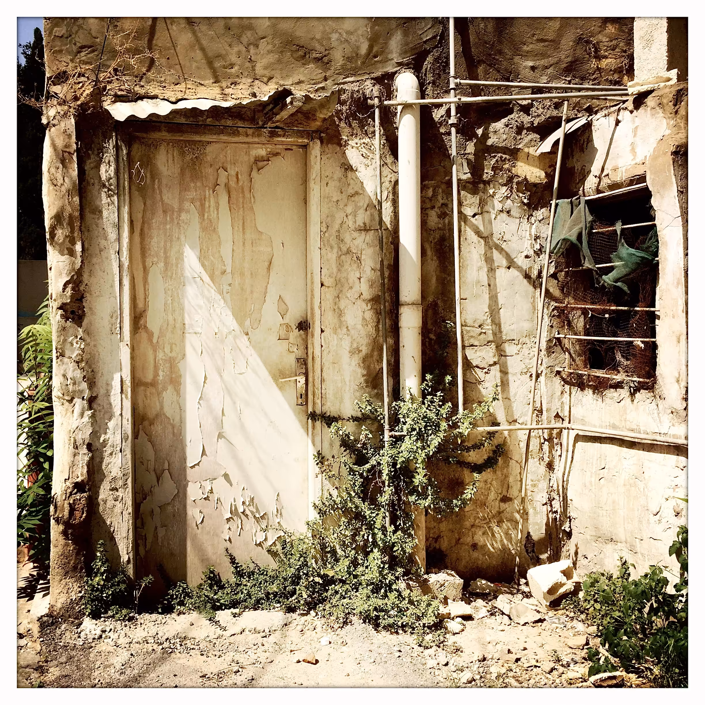 Beirut #1
