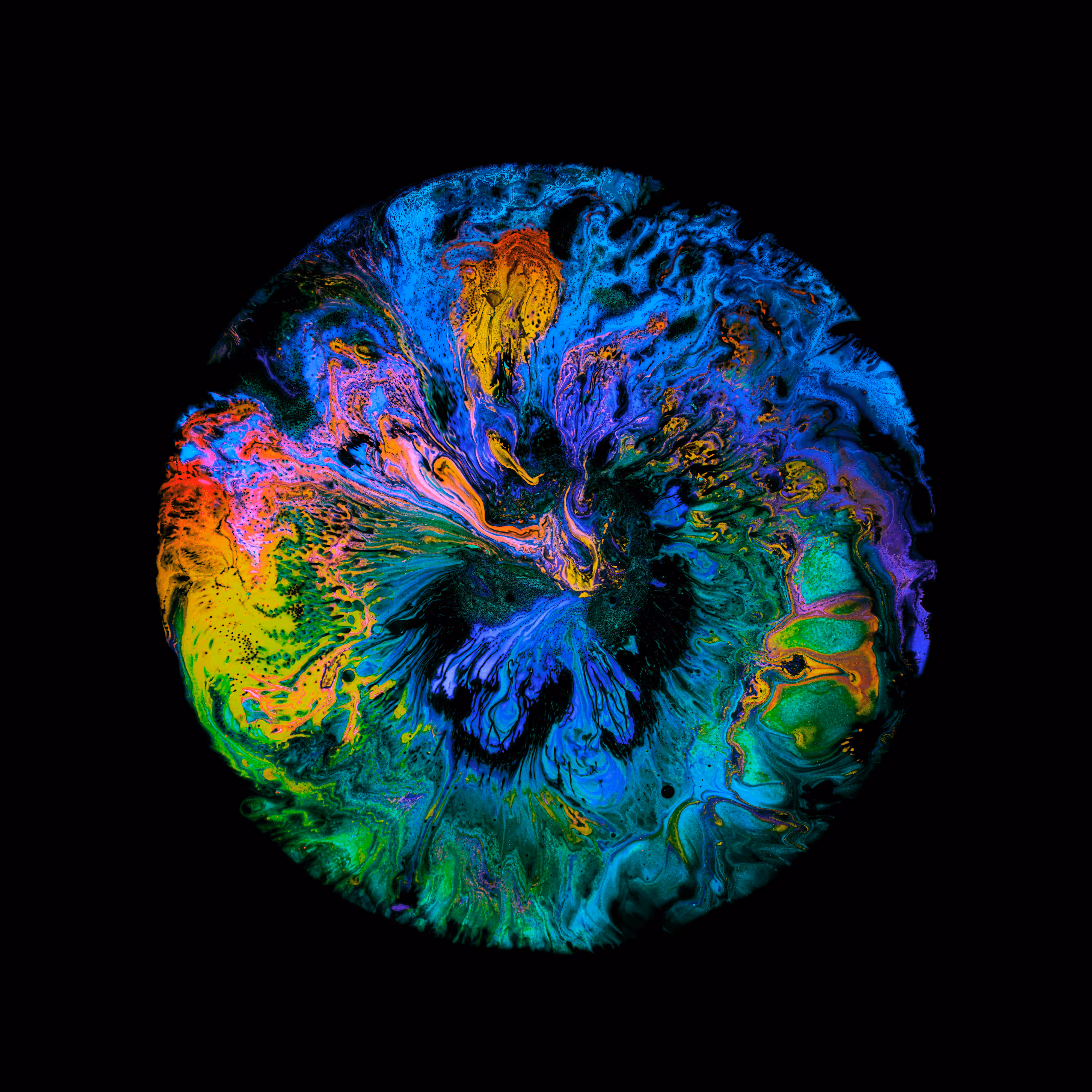 Haematopoiesis #280