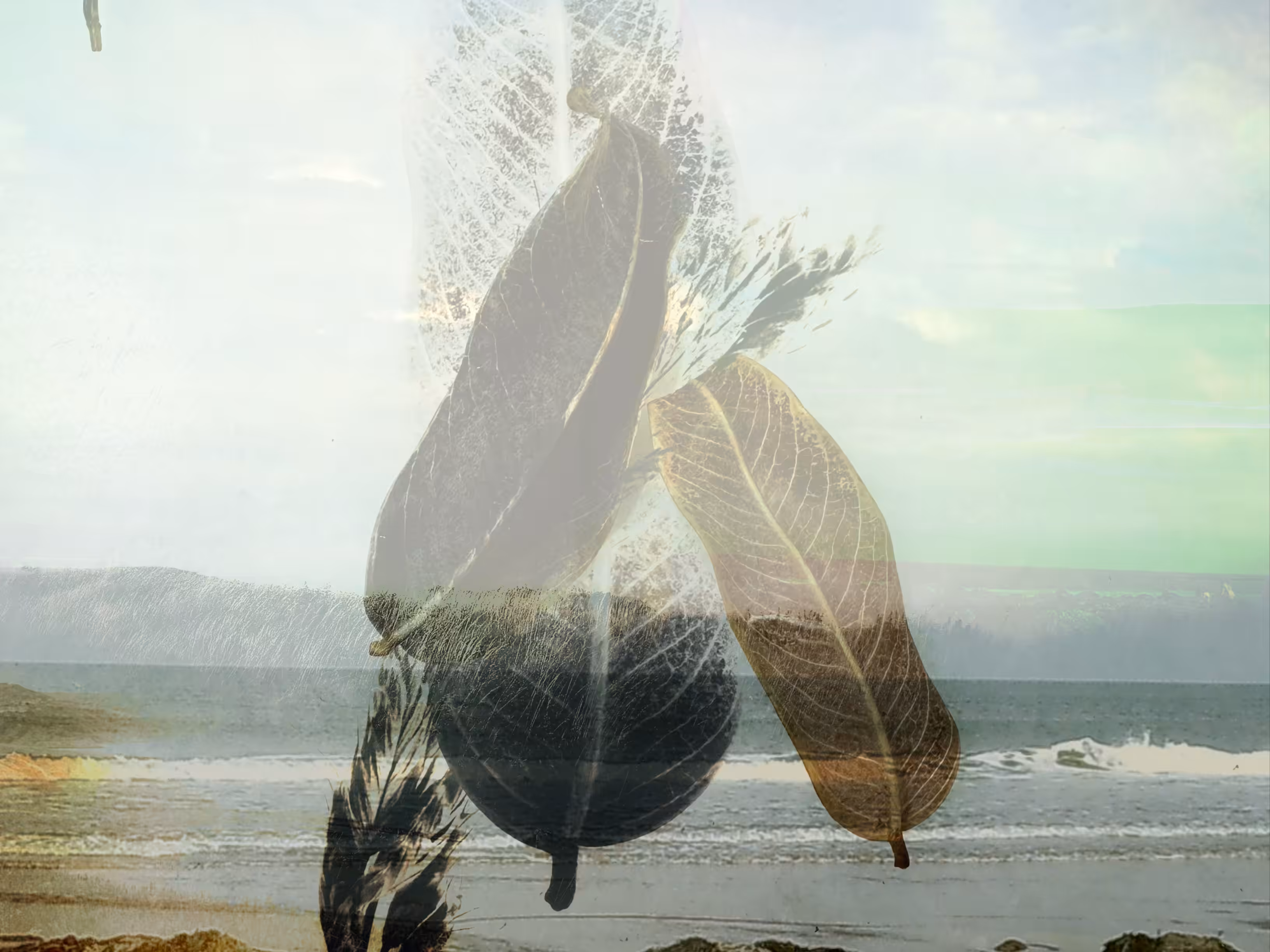Silent Waves