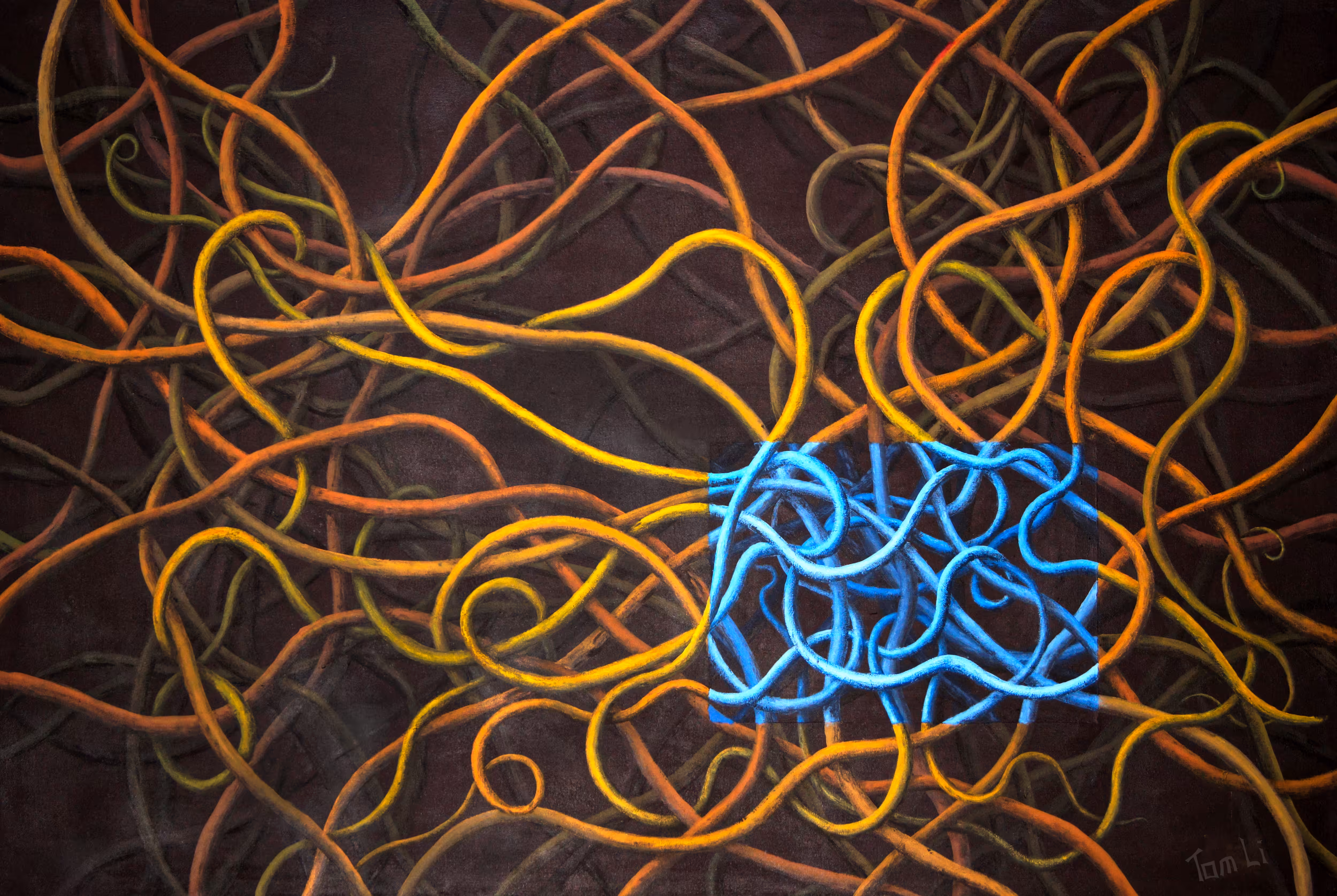 Blue rectangle of cords