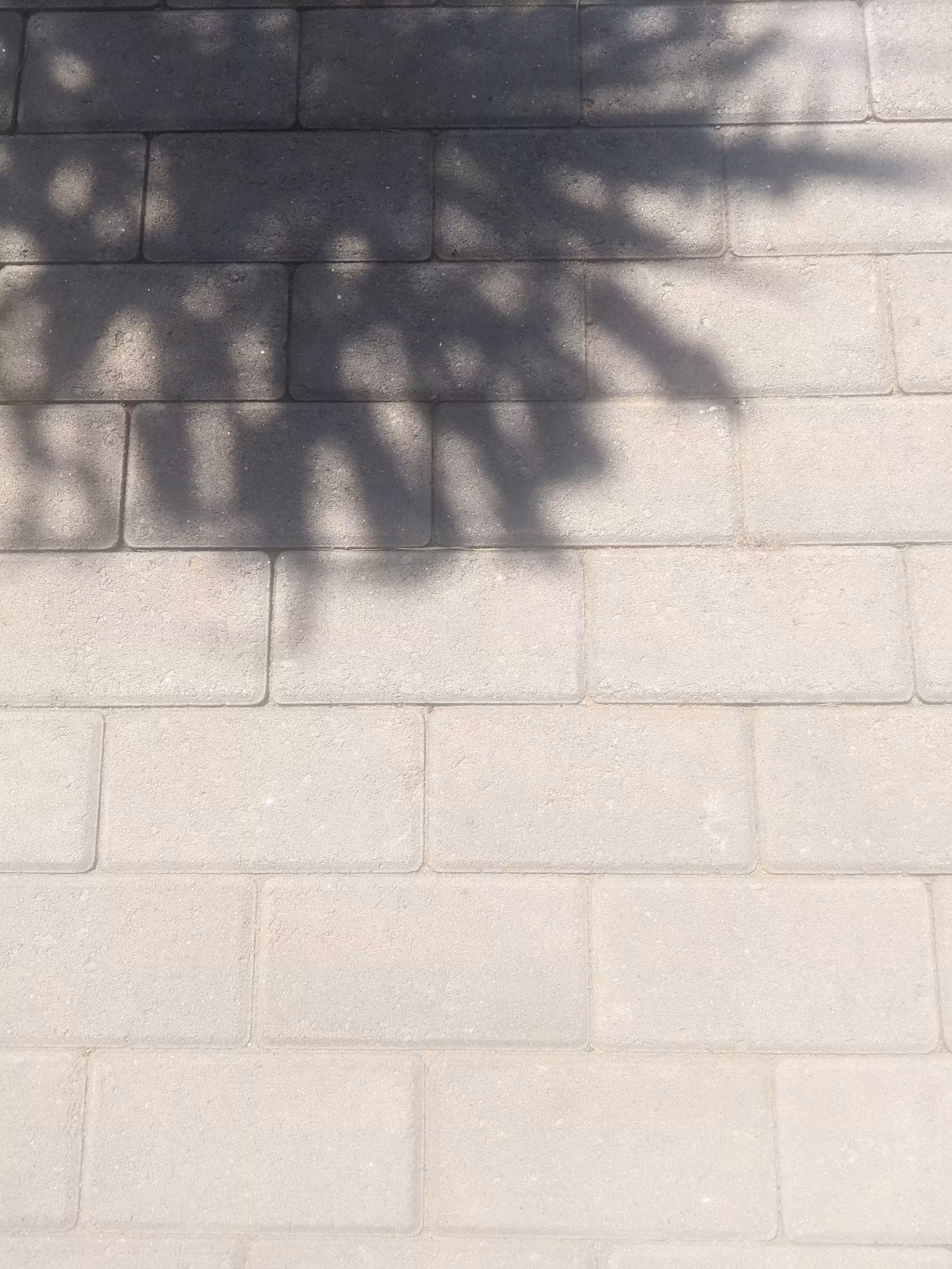 Tiles 1