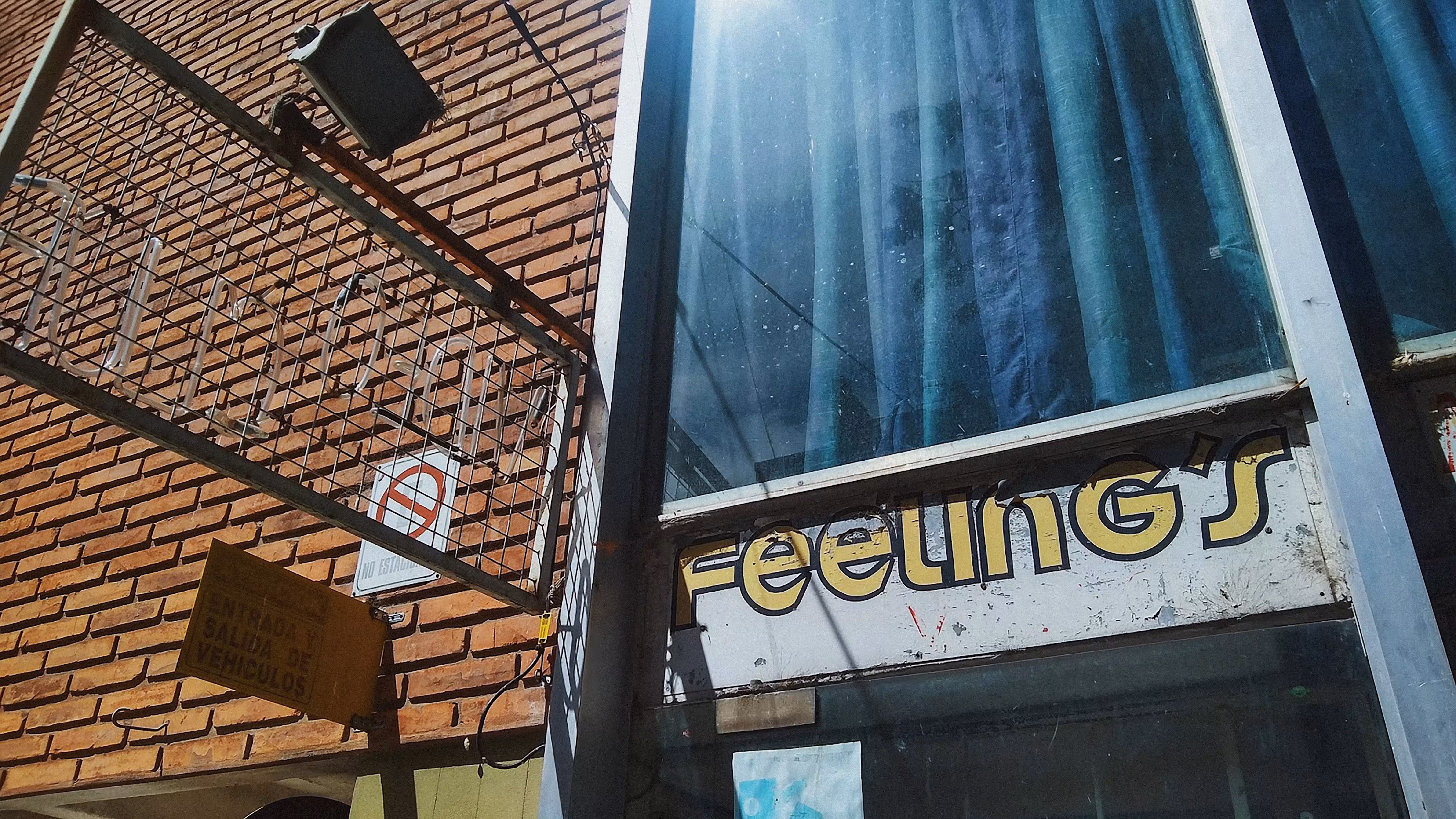 Feelings