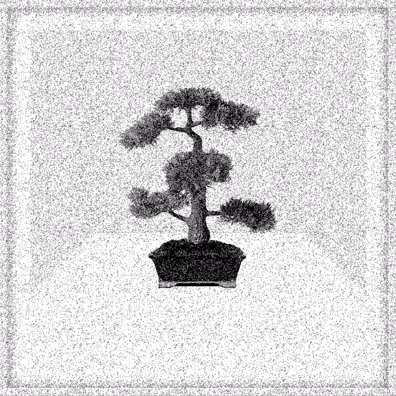 Bonsai Bonanza #754