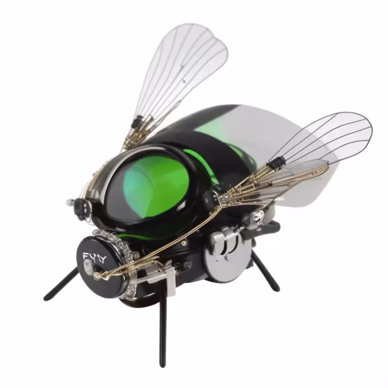 FLY_2
