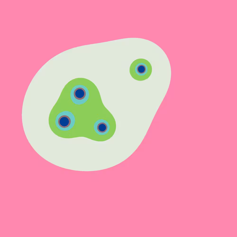 Mitosis #17