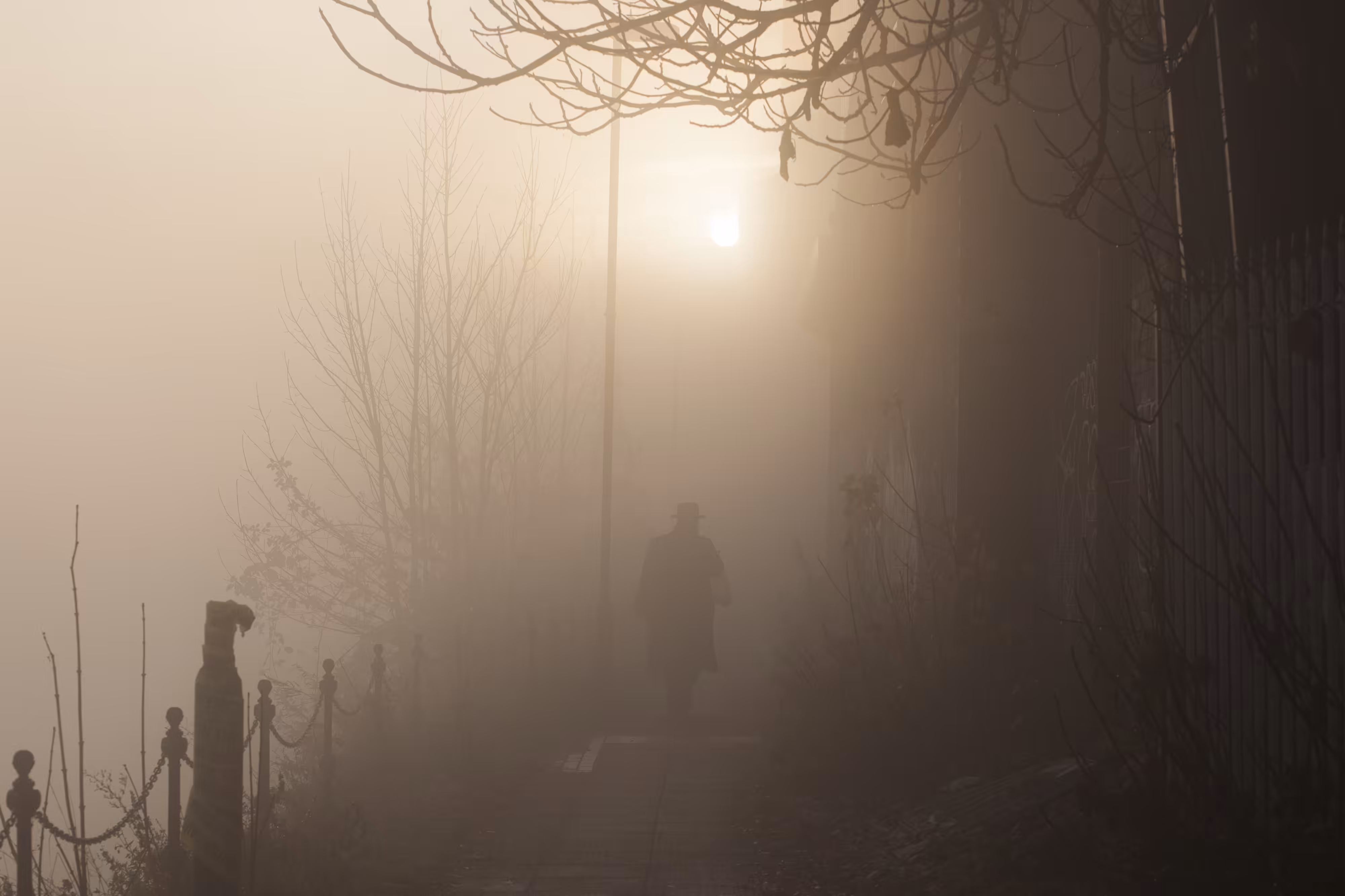 Morning Mist I
